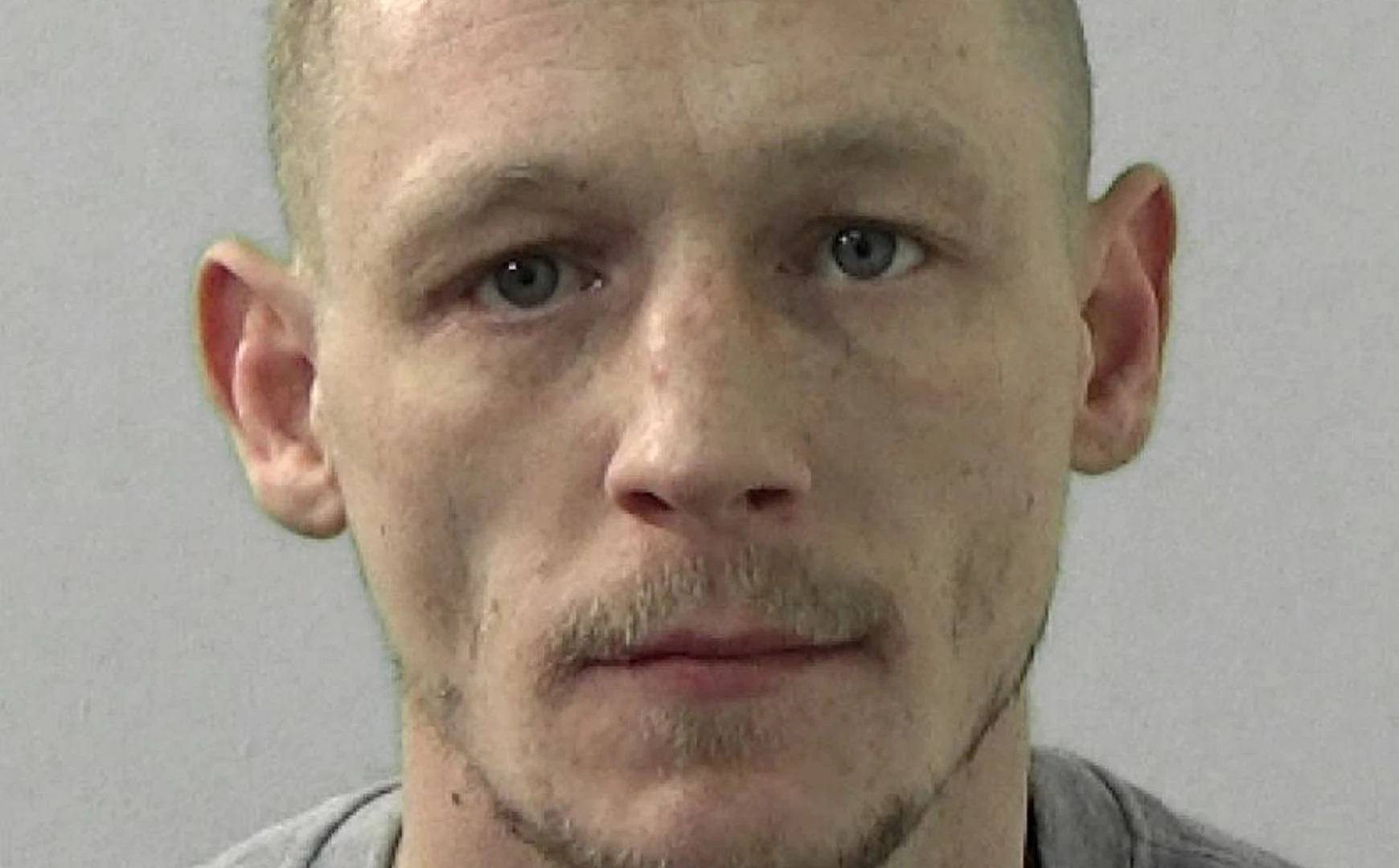 Married couple mauled by four vicious dogs at barbecue - leaving man disfigured