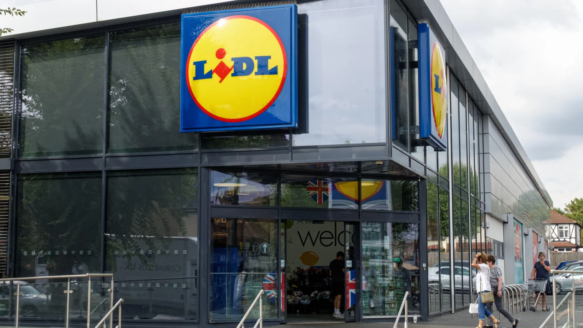 Lidl is selling a £7 buy that adds privacy to your garden & brightens the space