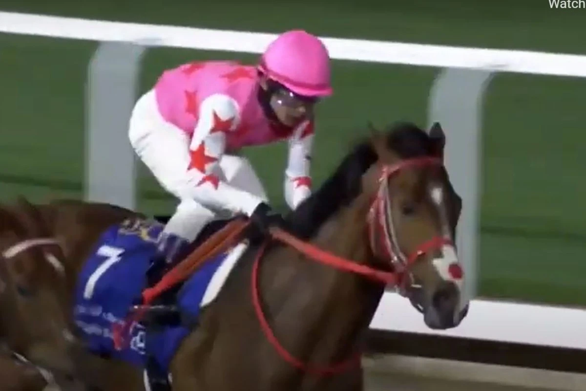 Racing tragedy as horse dies mid-race and jockey is rushed to hospital
