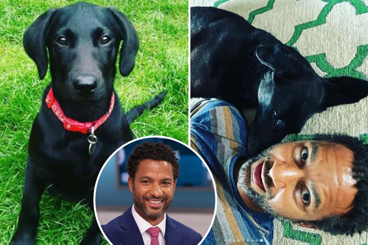 GMB's Sean Fletcher in tears and 'heartbroken' after beloved dog died
