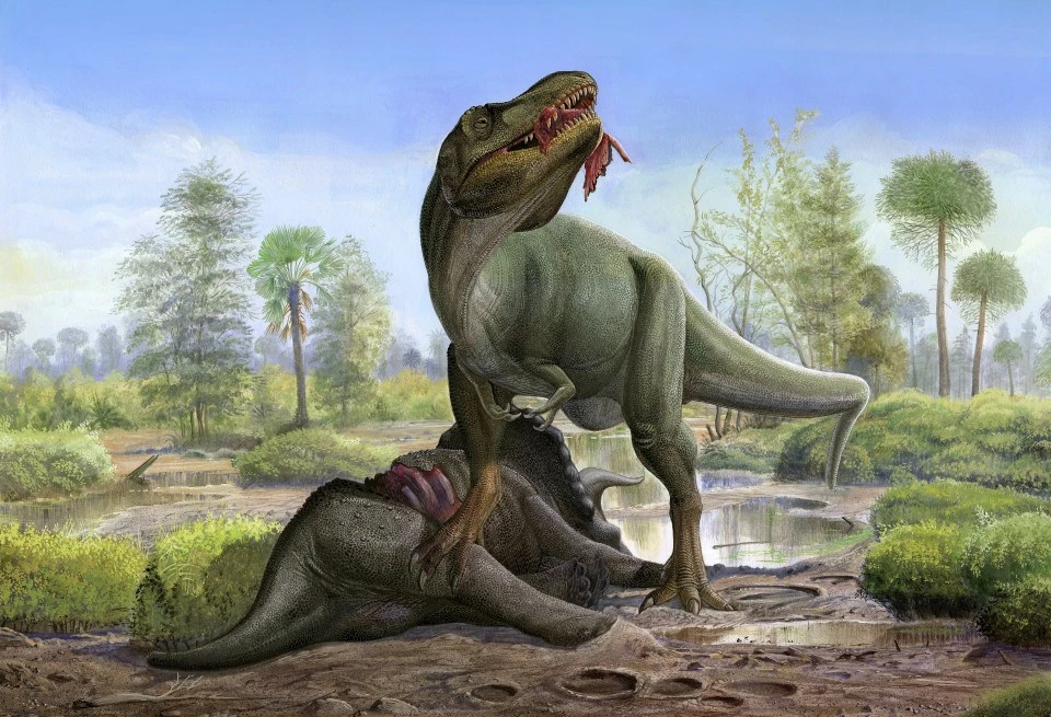 More than 2.5BILLION T-Rexes walked Earth before dinosaurs died out