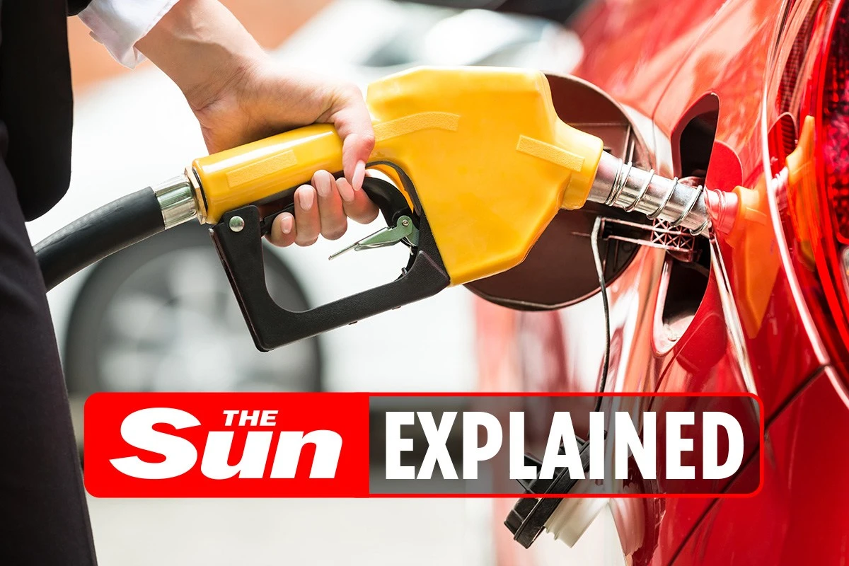 E10 fuel: Why is it replacing regular petrol and is my car compatible?