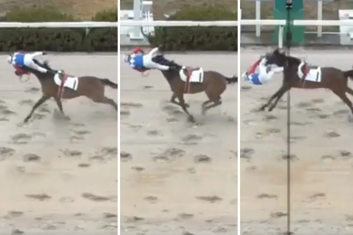 Watch jockey, 62, literally fly over finish line after losing control of horse
