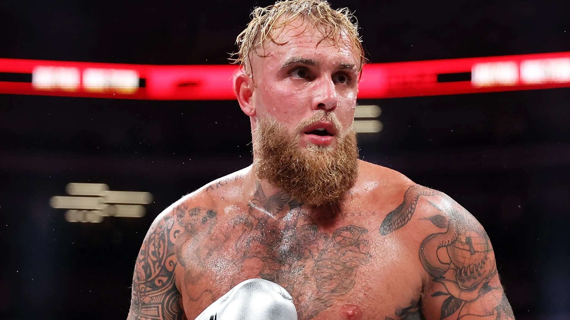 Jake Paul offered world title fight by undefeated P4P boxing superstar