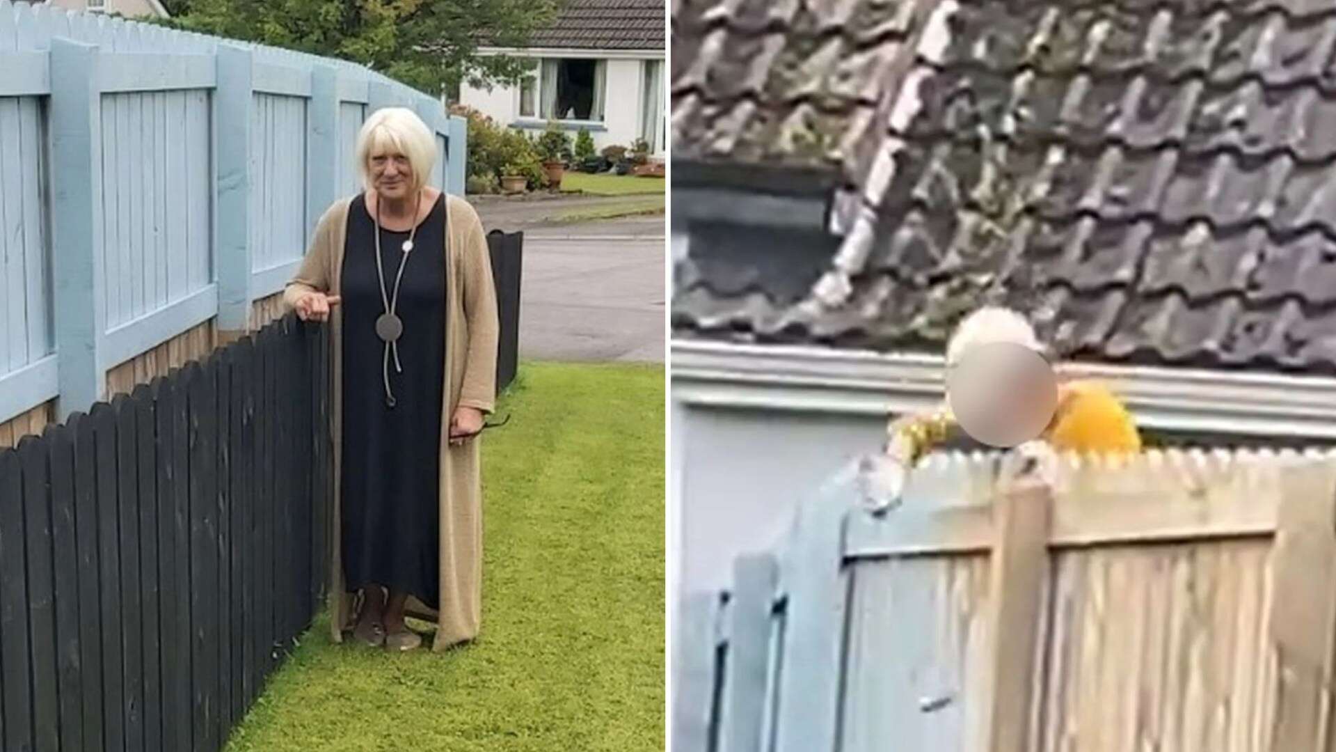 Neighbours at war as one builds black fence to take revenge over 6ft monstrosity