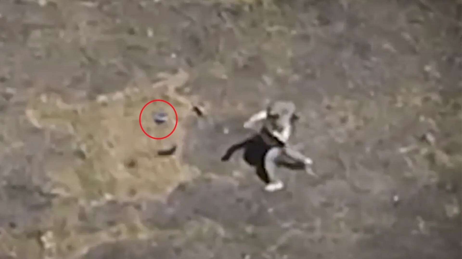 Moment desperate Russian soldier hurls gun at Ukrainian drone triggering blast