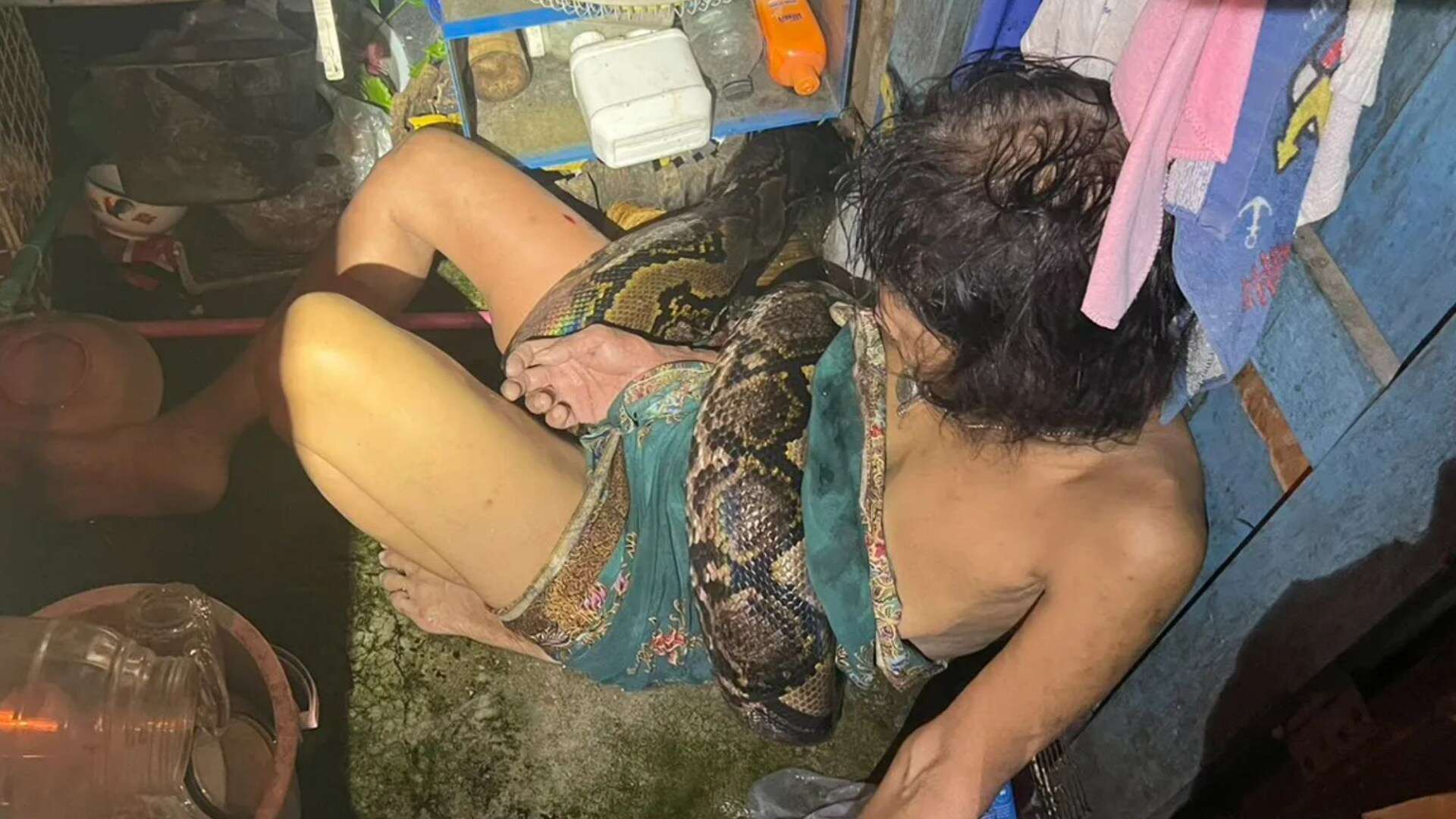 Moment gran is attacked by 13ft python as beast tries to squeeze her to death