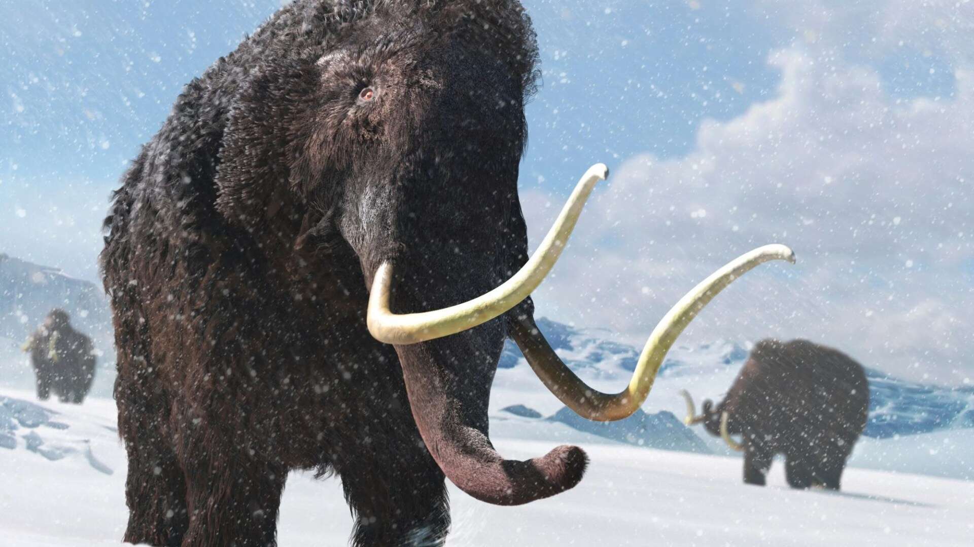 Scientists reveal shock new theory on what REALLY wiped out woolly mammoths