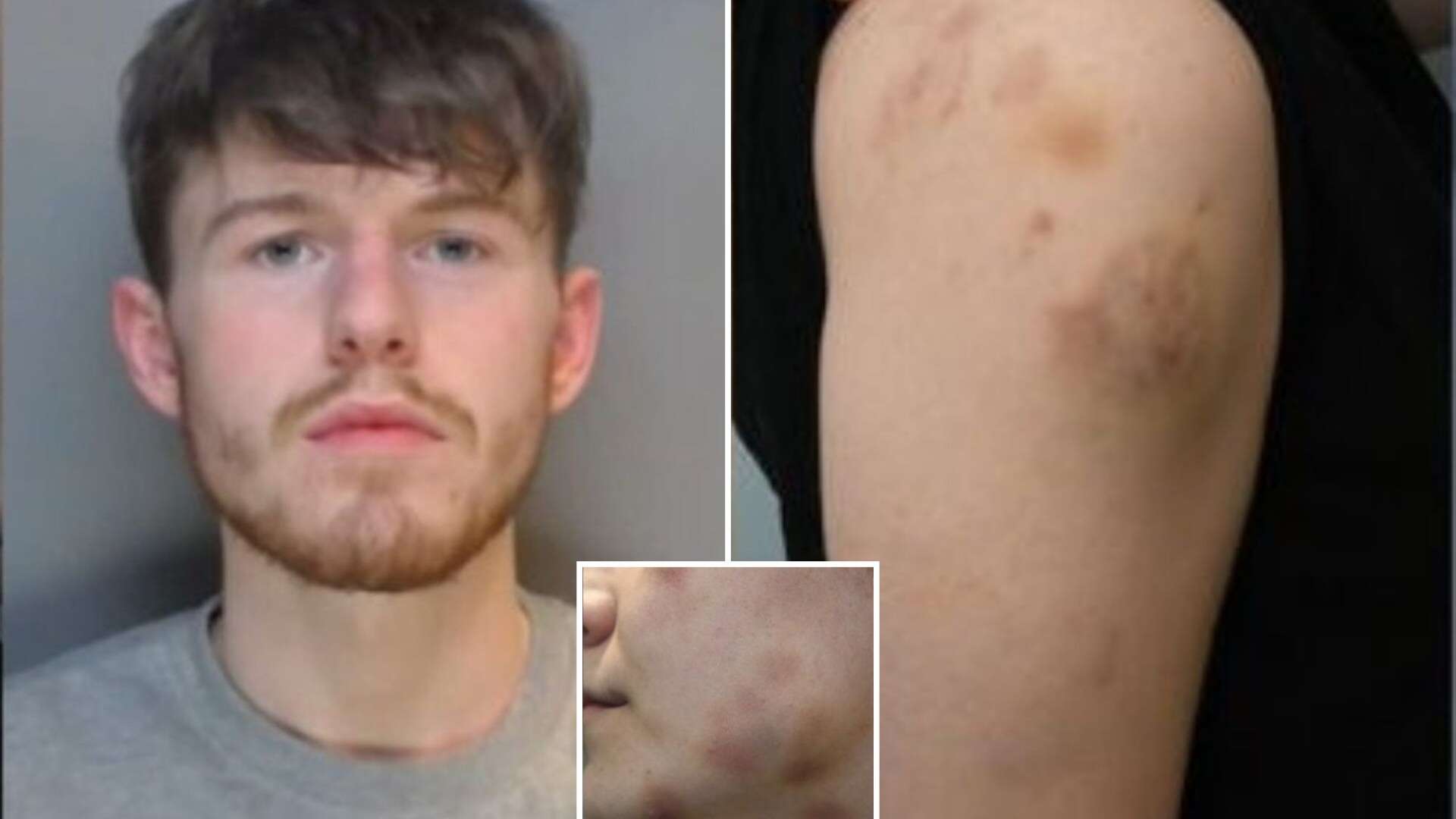 Thug tried to pull woman's teeth out with pliers in horrific campaign of abuse