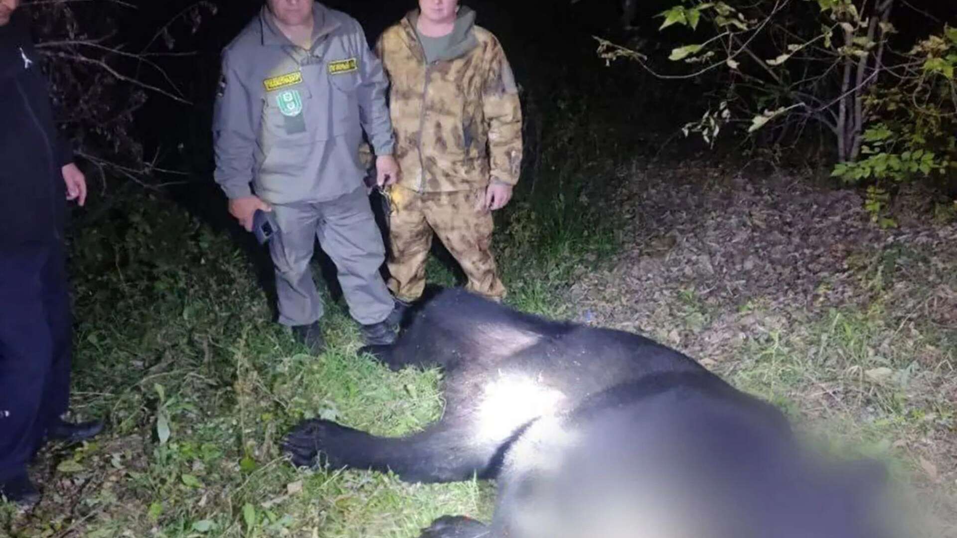 Dad & son mauled to death by massive bear after beast broke into their home