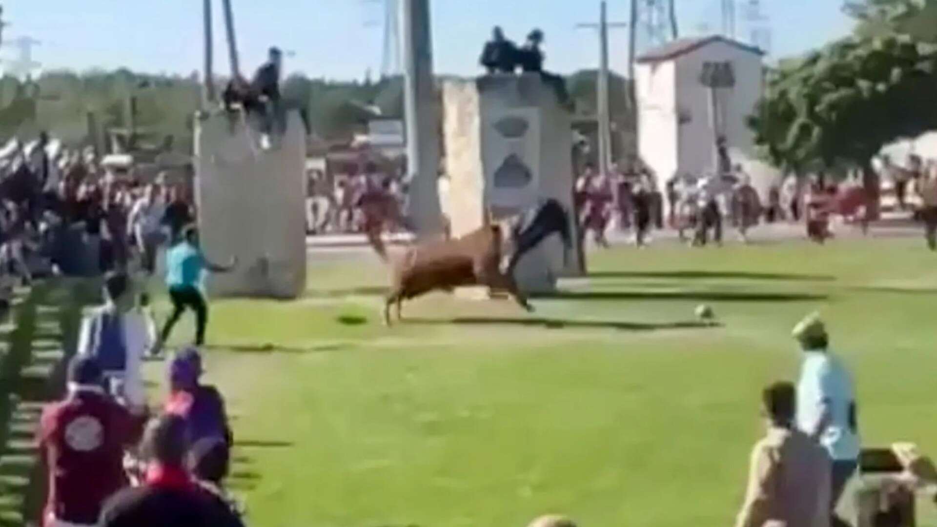 Horror moment raging bull impales runner & tosses him around like ragdoll