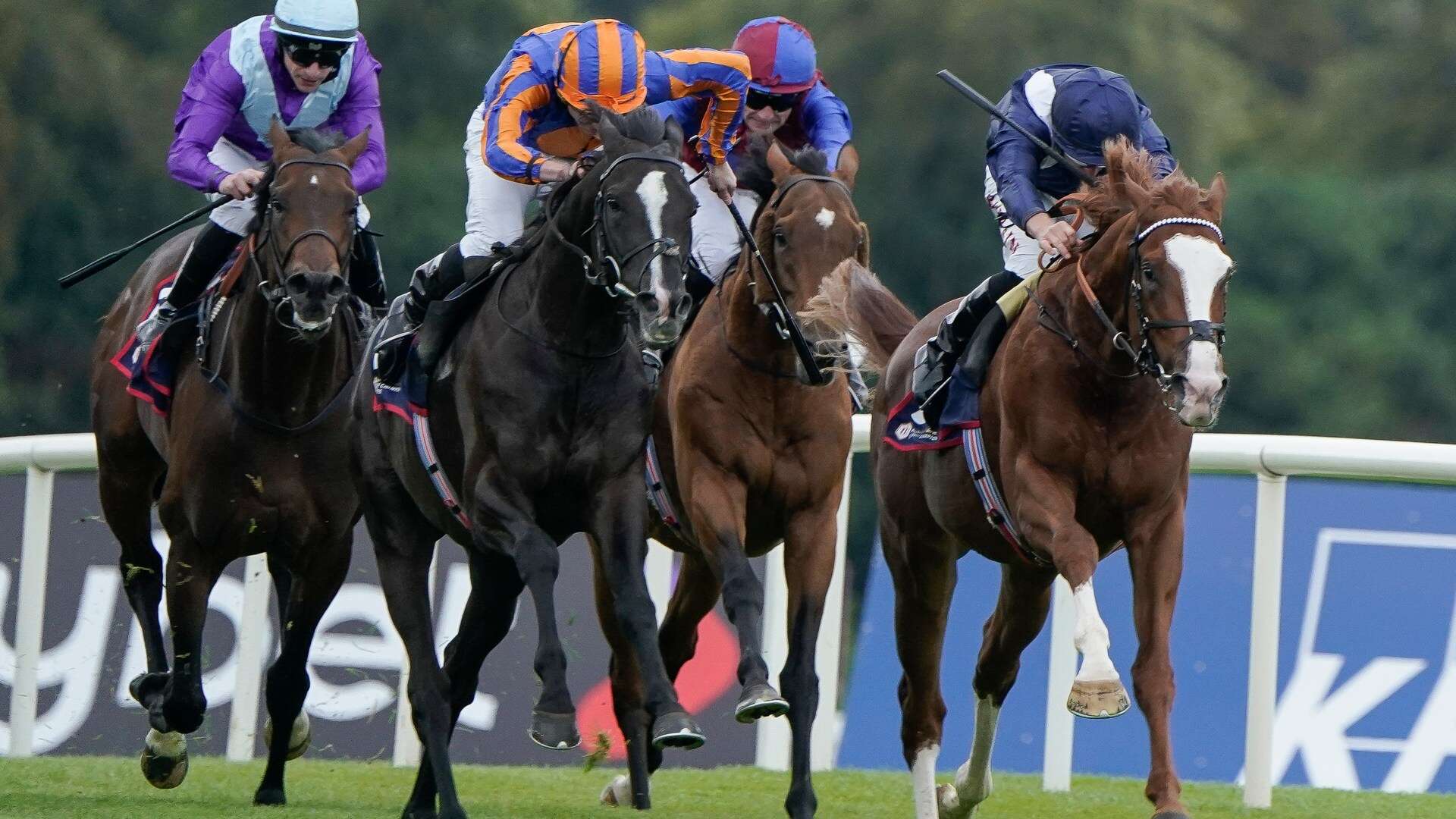 Economics wins epic Irish Champion Stakes as Tom Marquand enjoys big double