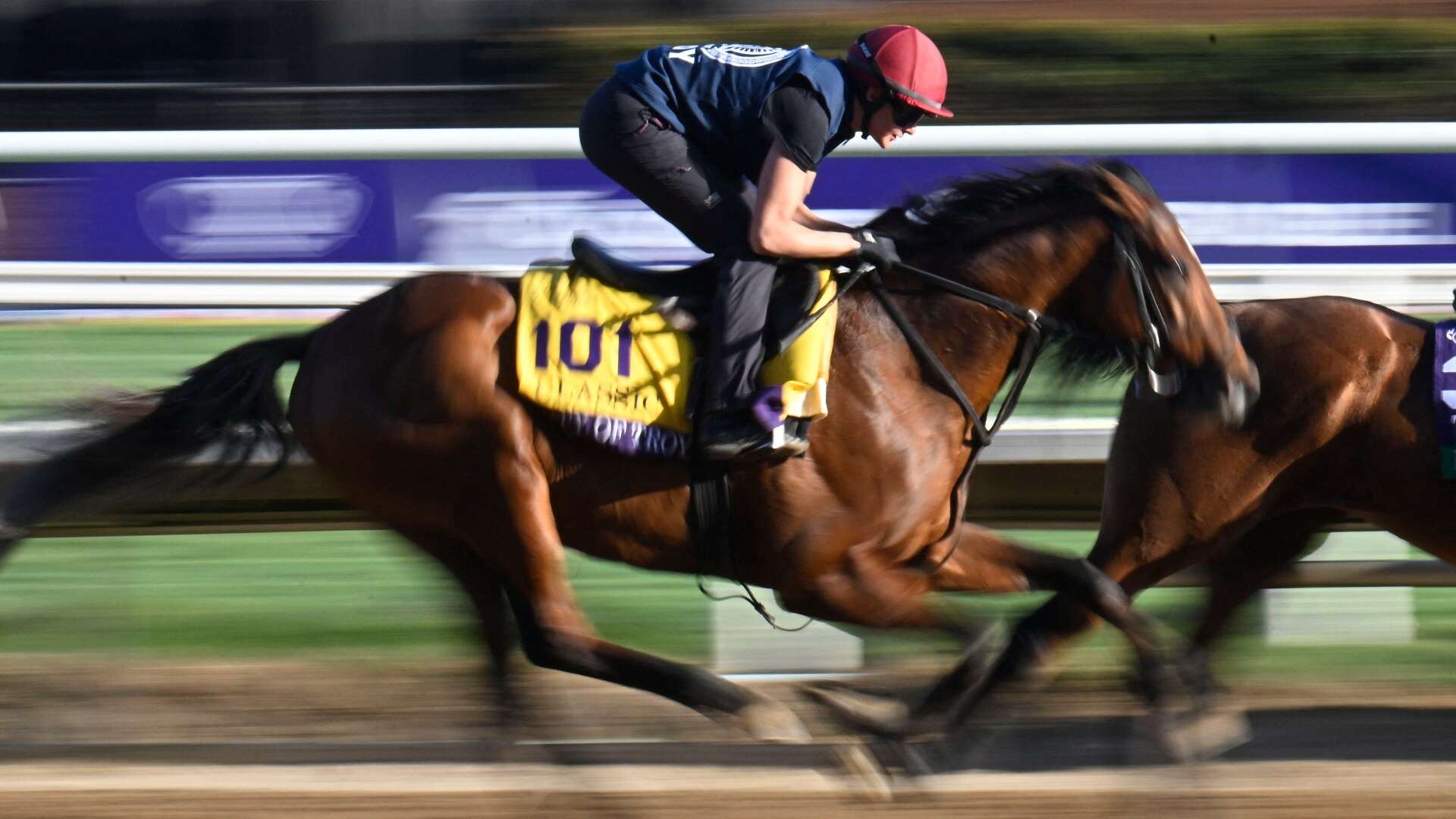 City Of Troy named Timeform's Horse Of The Year as Bluestocking not in top three