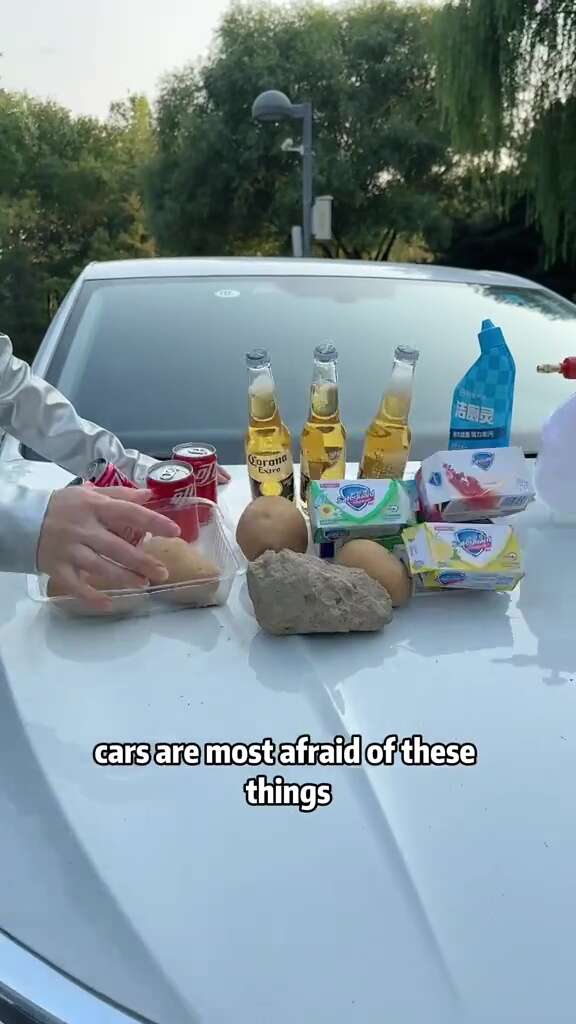 Motoring expert shares hacks to fix up your car using simple household goods