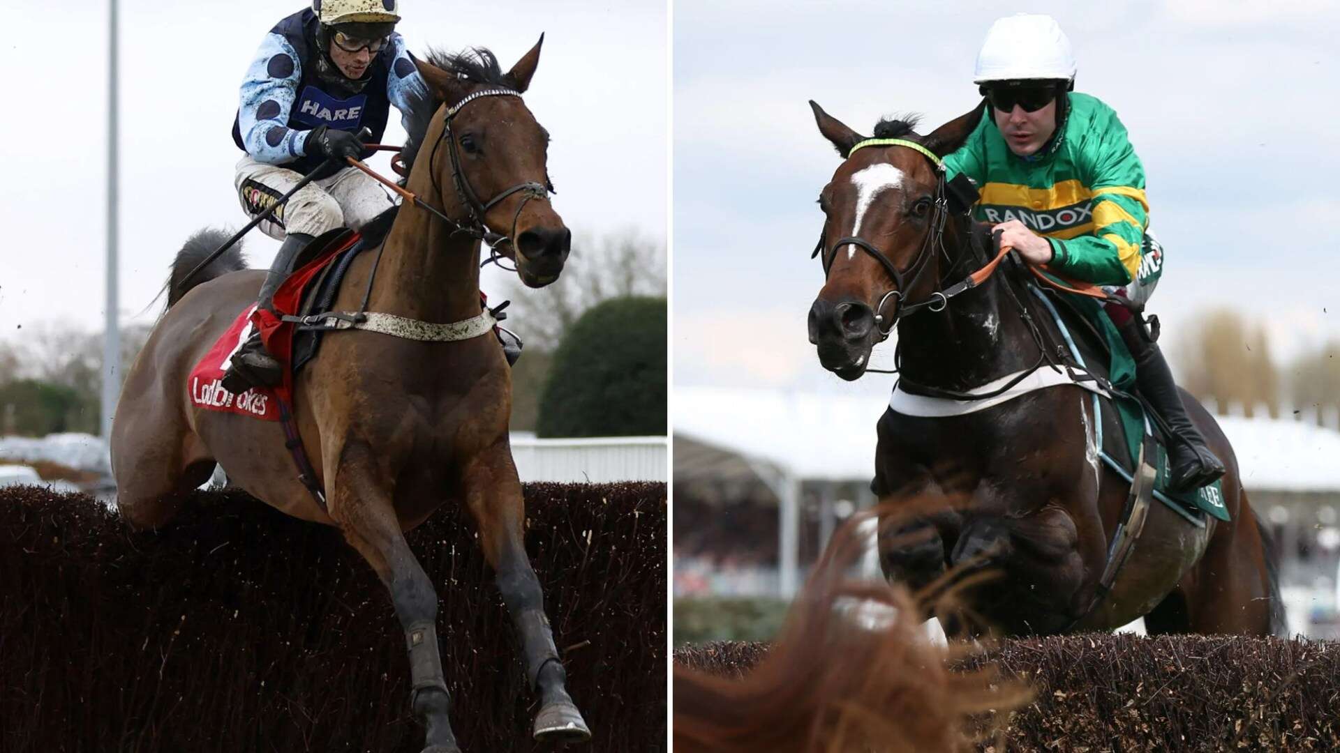 Star chasers Jonbon and Edwardstone set to renew rivalry at Cheltenham on Friday