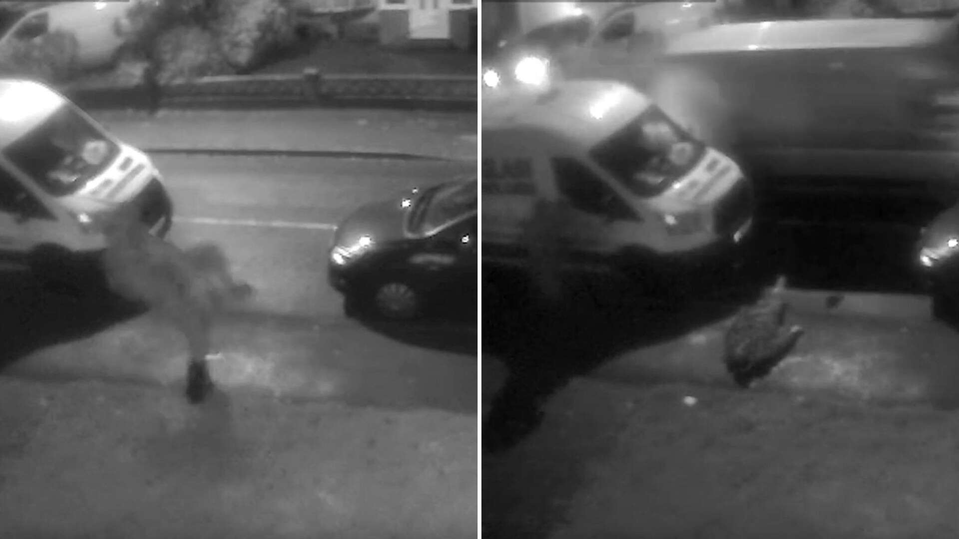 Moment raging driver BODYSLAMS man to the floor ‘like something out of WWE'