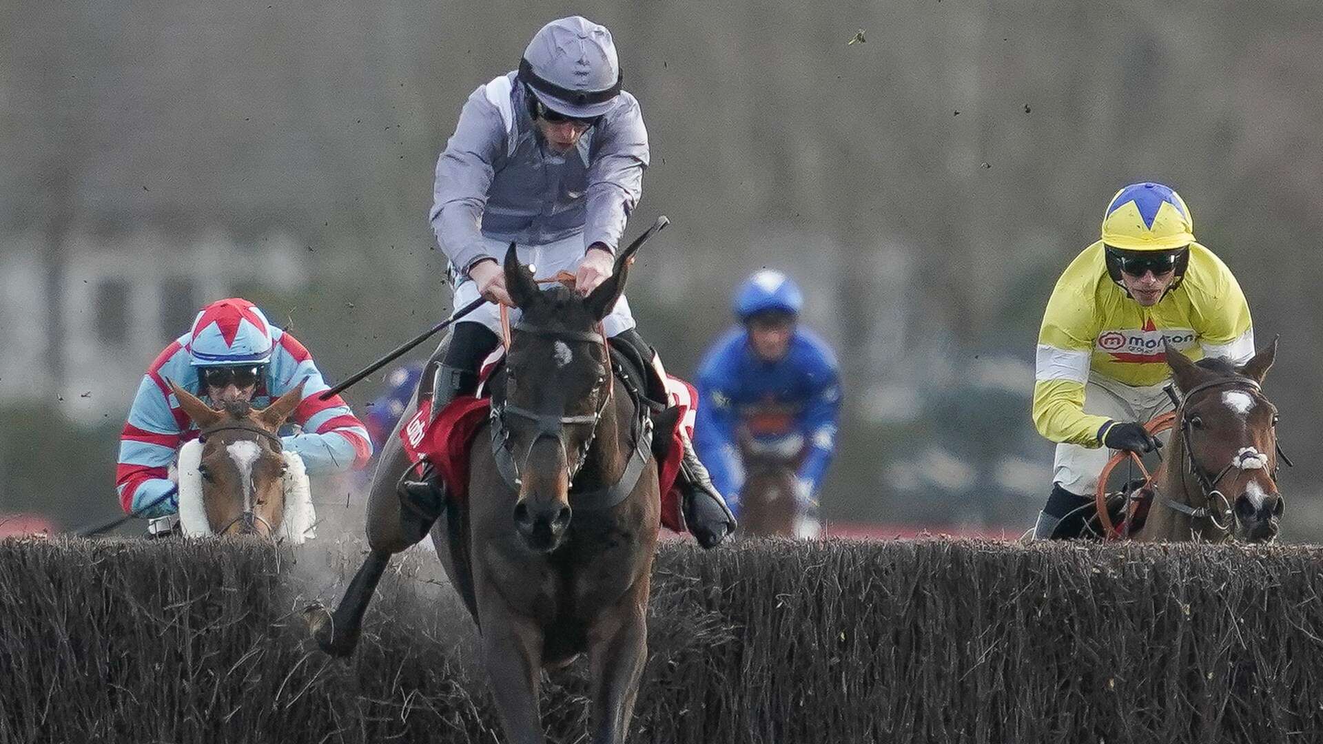 King George favourite pushed out to 10-1 after heavy defeat in France