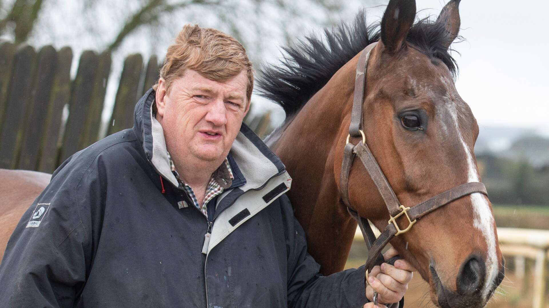 Trainer banned for ten months after driving dead horse through middle of town