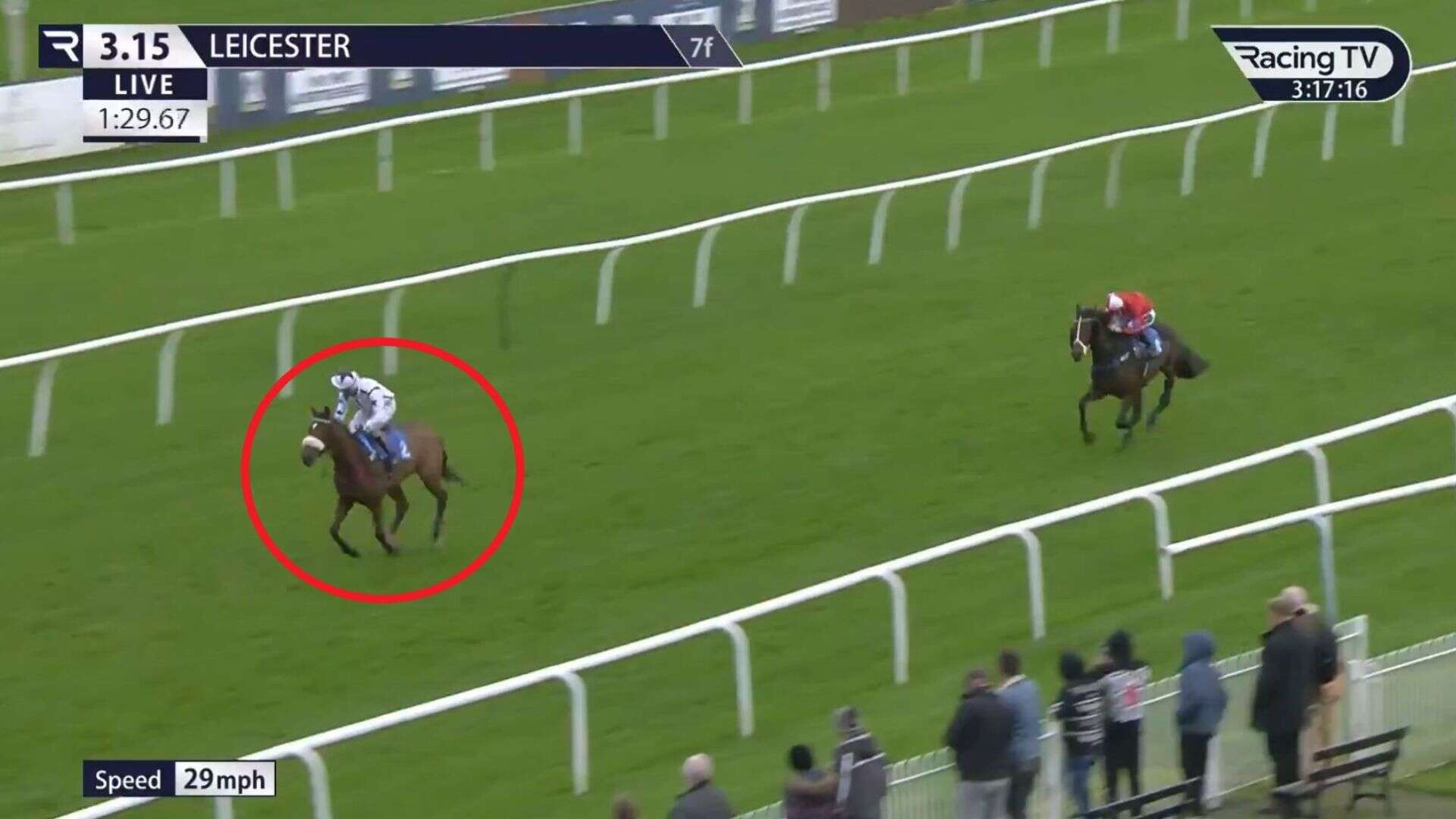 Watch the moment 1-100 horse throws away victory as jockey gets huge 28-day ban