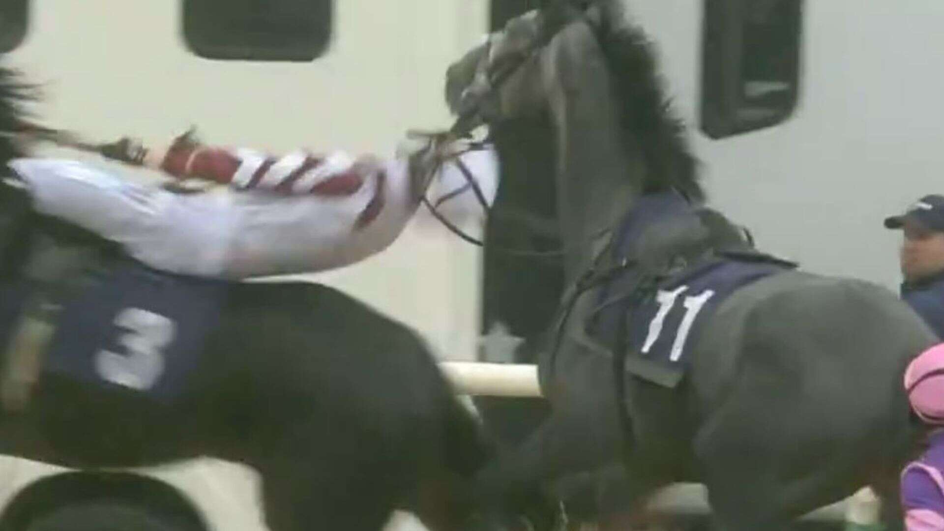 Horrific moment helpless jockey's flung like rag doll in terrifying pre-race scare