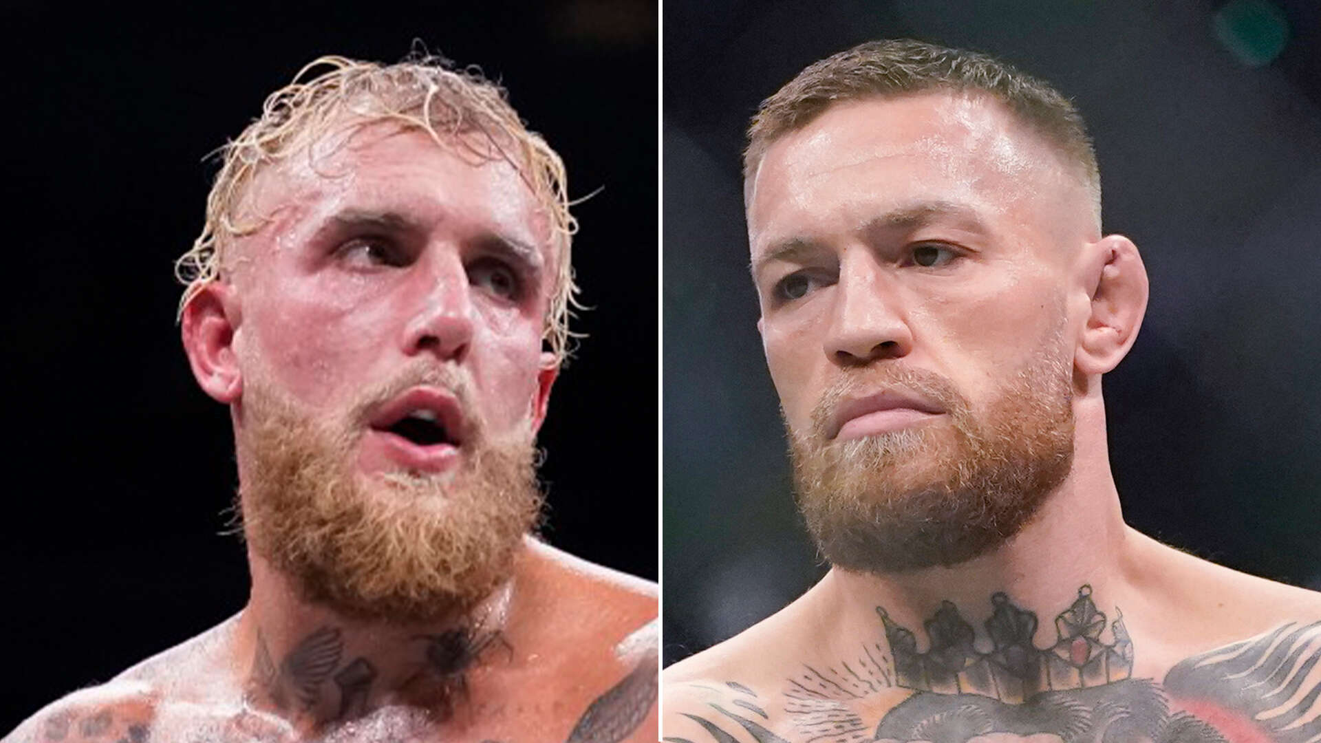 Jake Paul set to steal Conor McGregor fight from under brother Logan's nose