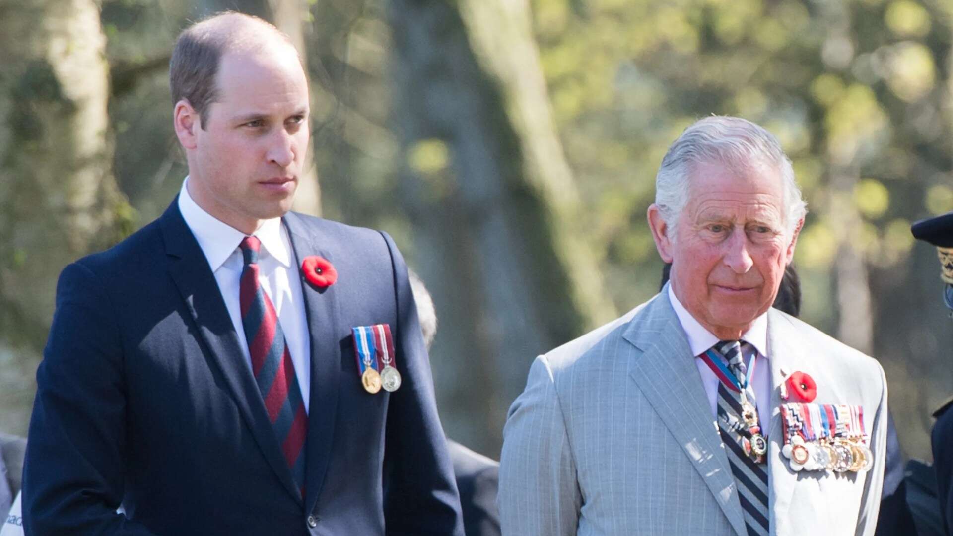 Charles & Wills' estates set to rake in £50m from NHS hospitals & schools