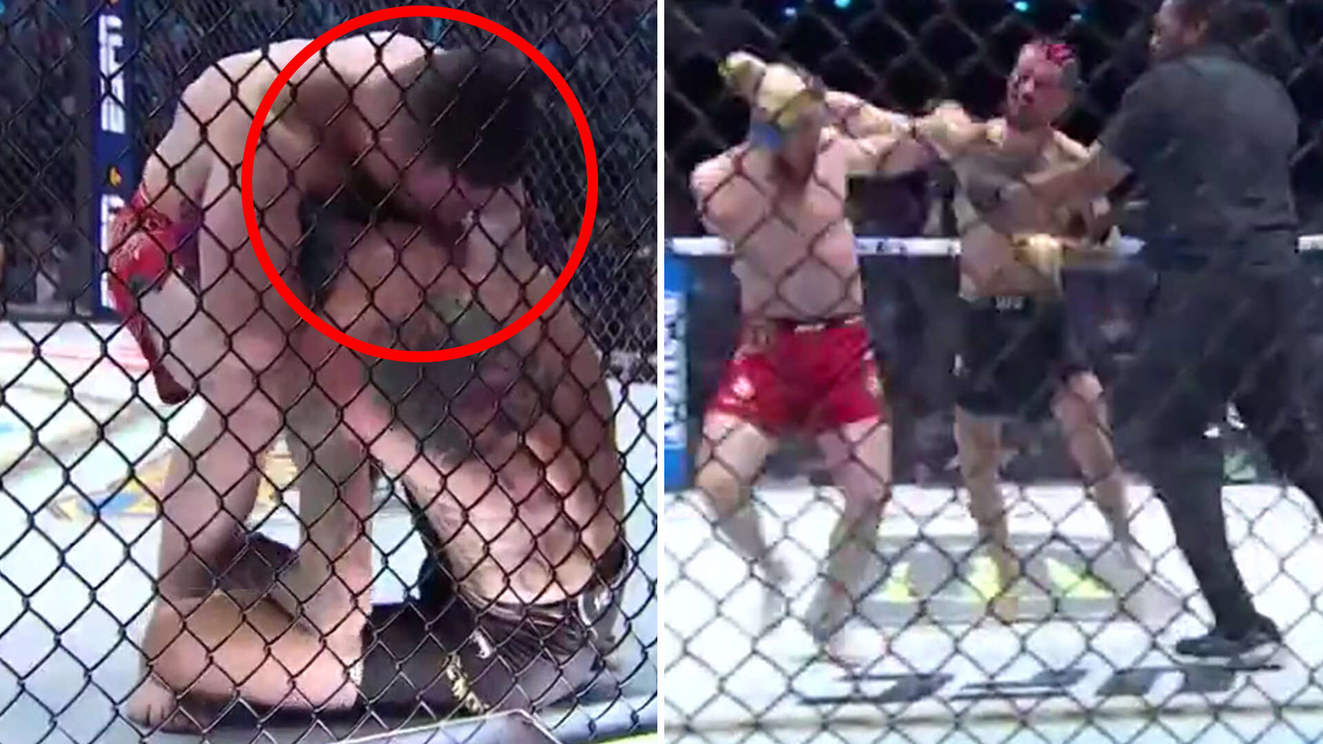 Watch bizarre moment UFC star KISSES raging Sean O’Malley mid-fight