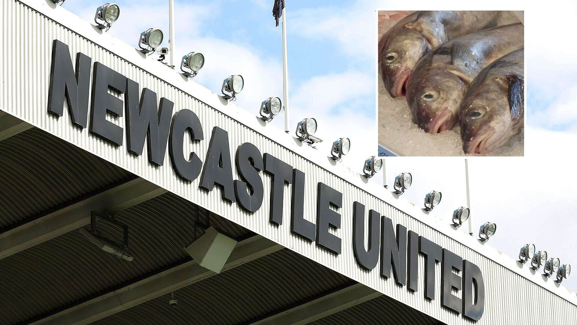 I filled my Newcastle team-mate's car with rotten fish as revenge