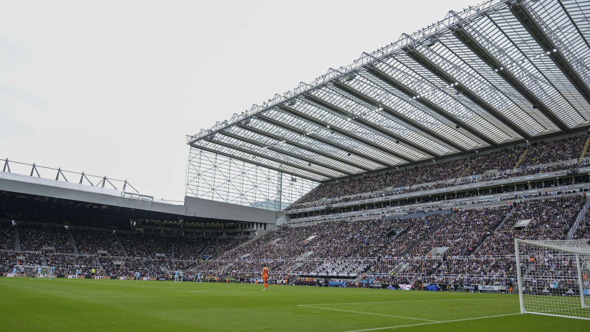 Newcastle drop hint they'll leave St James' in 'once-in-generation' opportunity