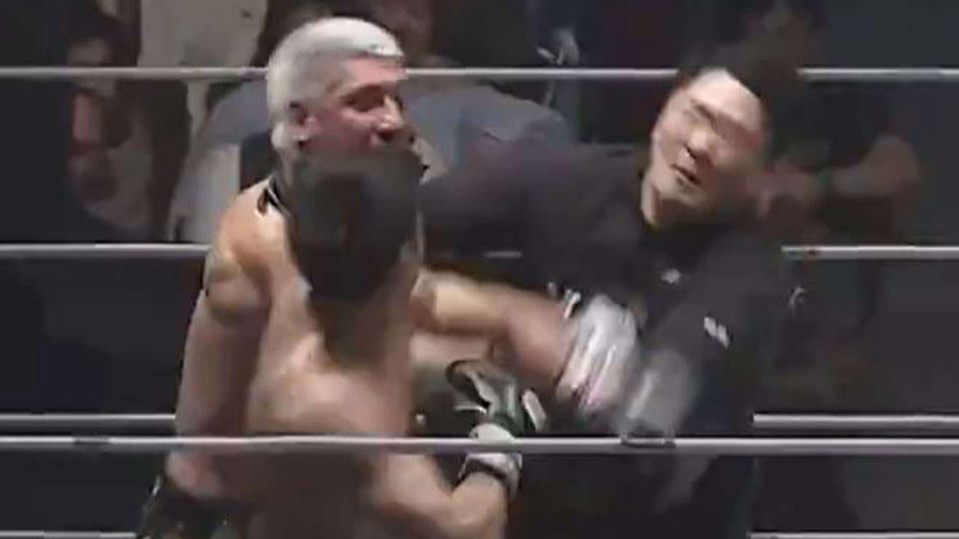 Referee gets punched in face as officials forced to storm boxing ring