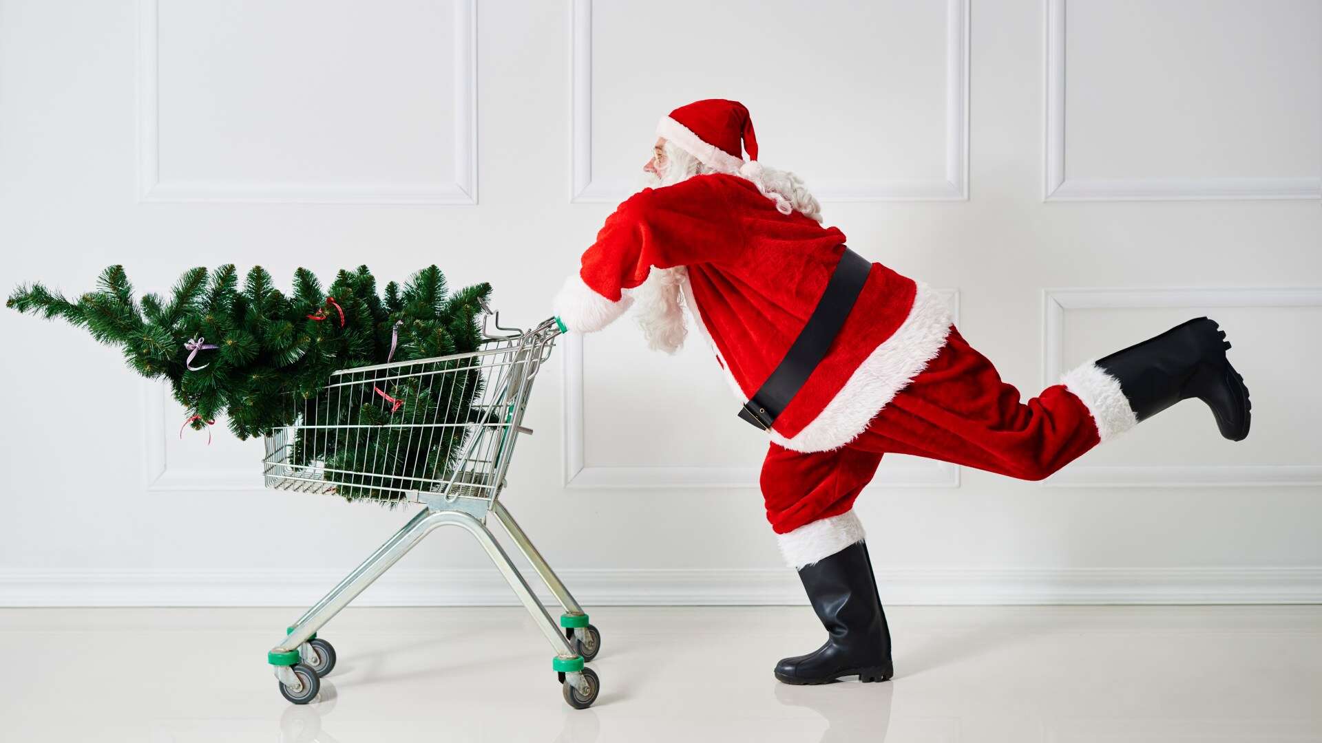 Five savvy ways to avoid needless expenses when buying your tree this Christmas