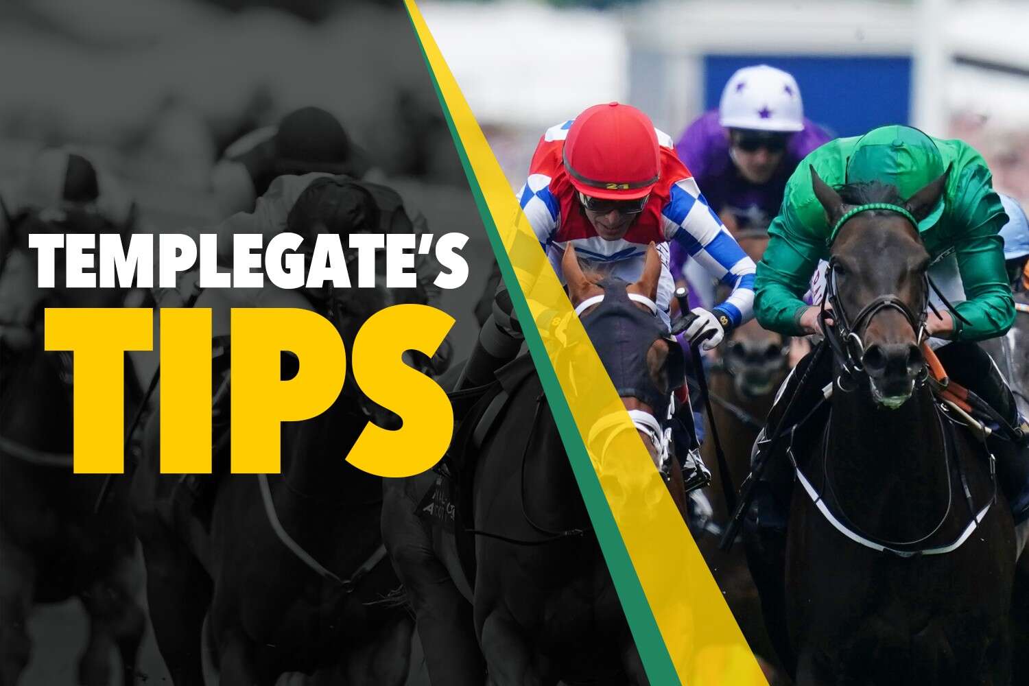 Templegate's NAP makes a quick return and is in top form