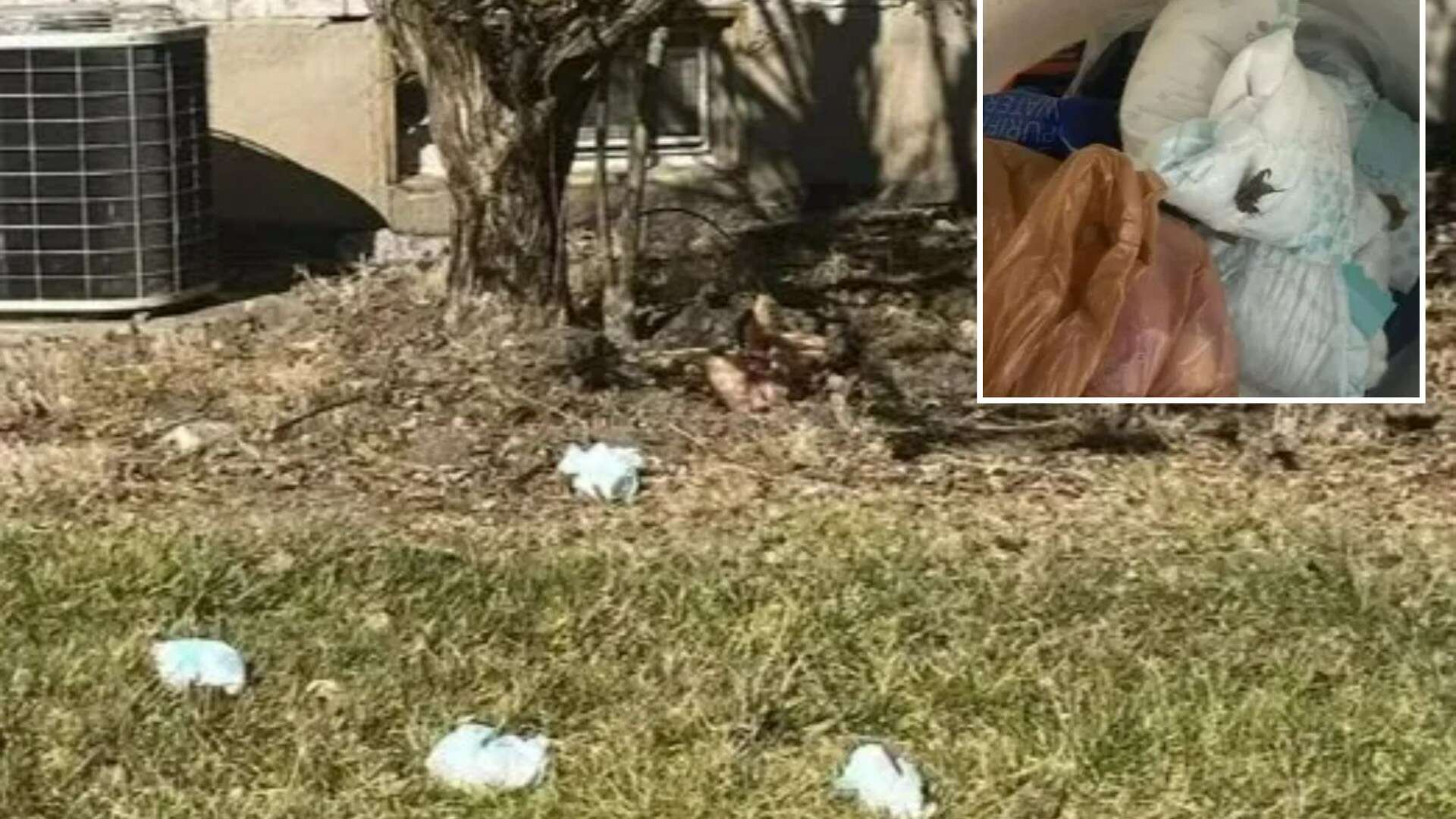 My lazy neighbours lob their dirty nappies out of the window - it's disgusting