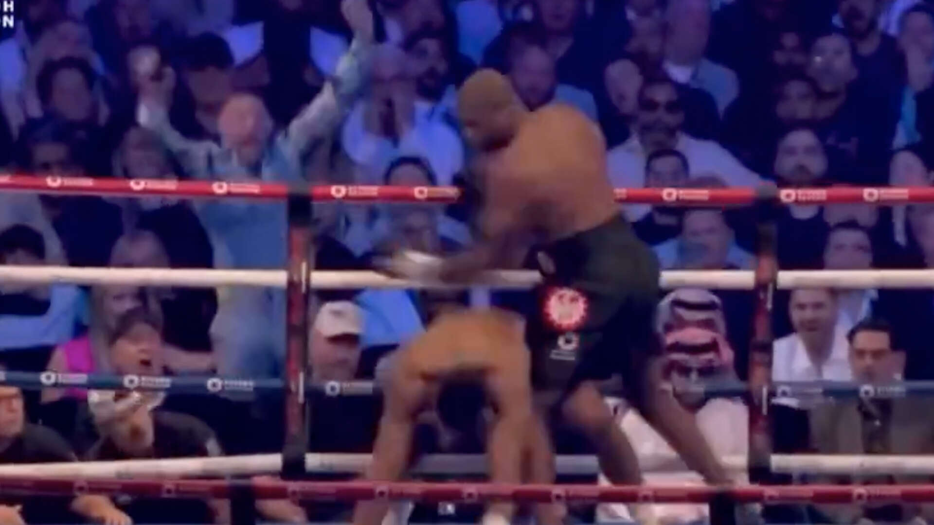 Fans in stitches at Conor McGregor's reaction to Dubois knocking down AJ