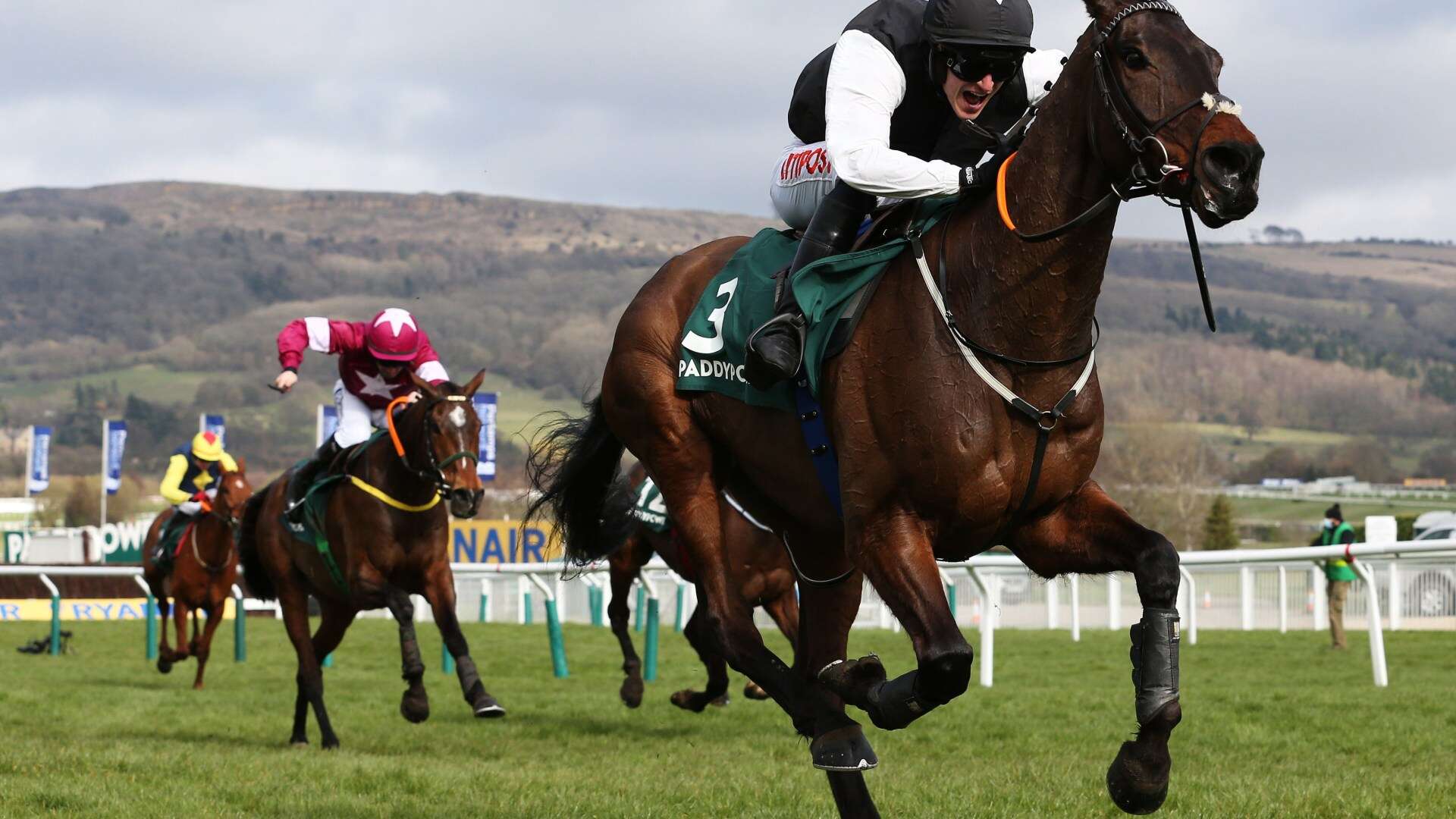 Cheltenham Festival legend Flooring Porter out for the rest of the season