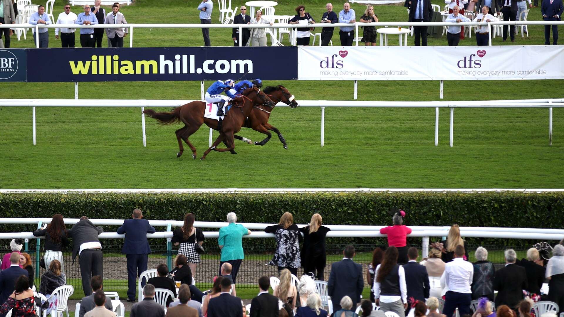 Racing trainer slapped with 6-year ban for 'unacceptable' treatment of horses