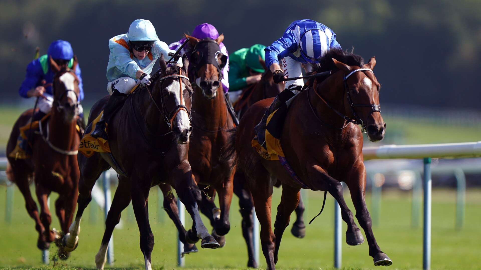 Templegate's Tote Placepot tips with £100,000 guaranteed at Haydock