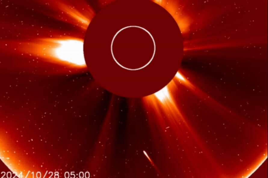 Moment rare 'Halloween Comet' is vaporised after flying too close to the sun