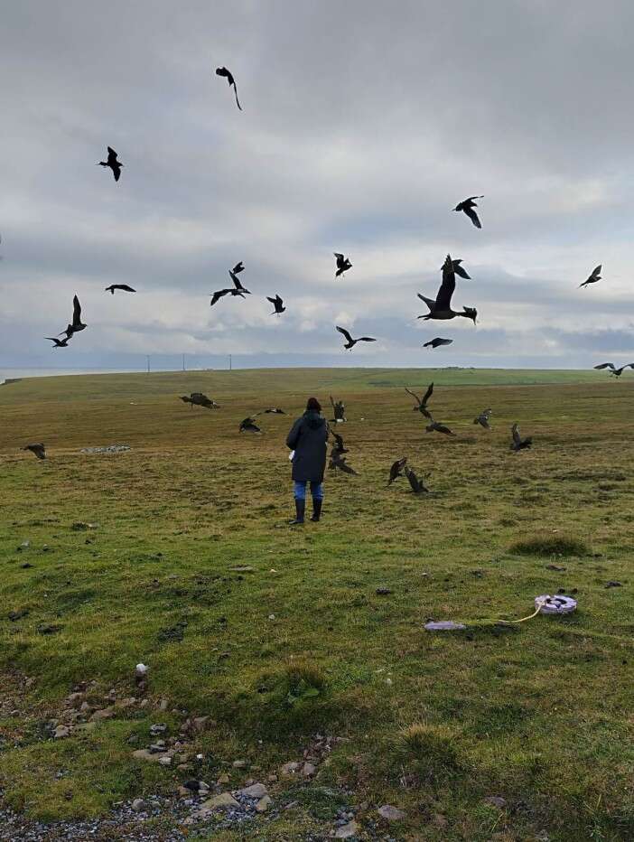 We live on Britain’s most remote island... there's no pub but we're not lonely