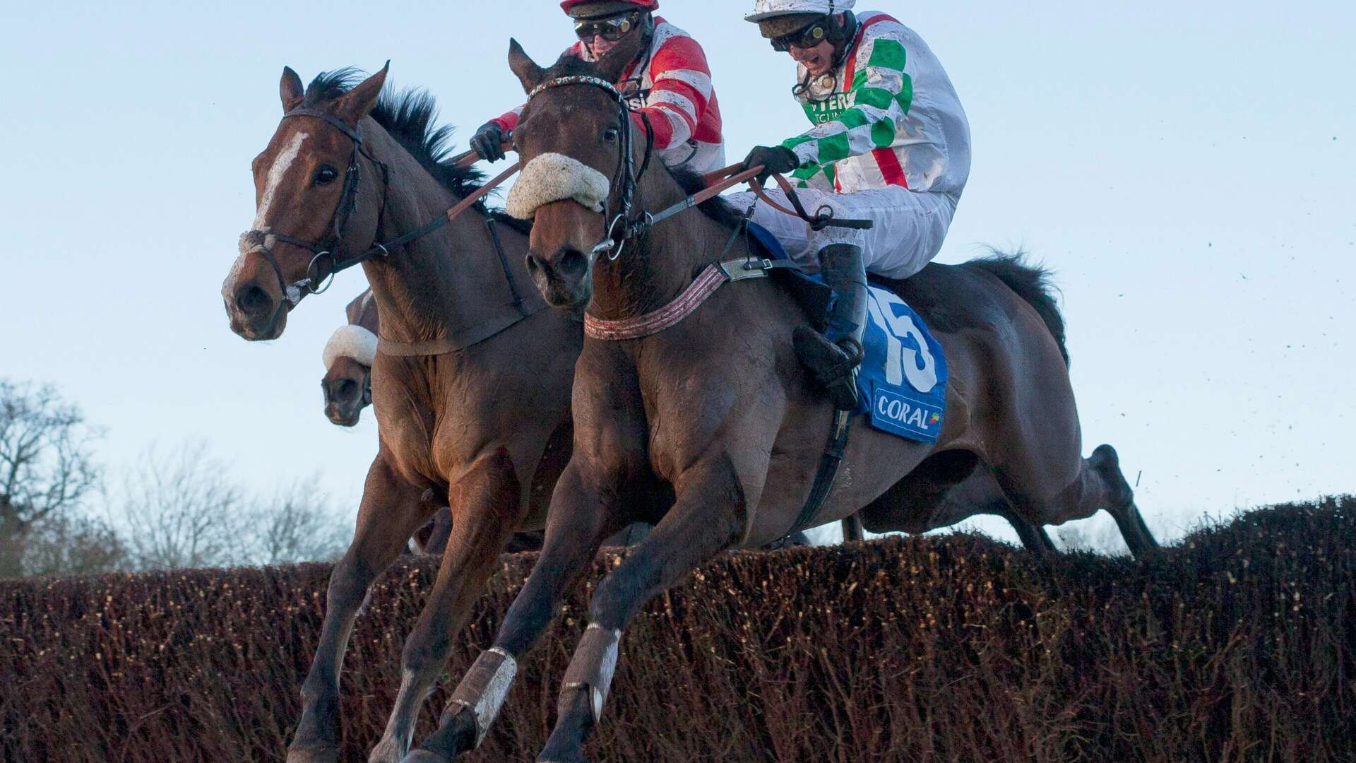 'He loves a bog and has a great chance' - Templegate's Welsh National tip