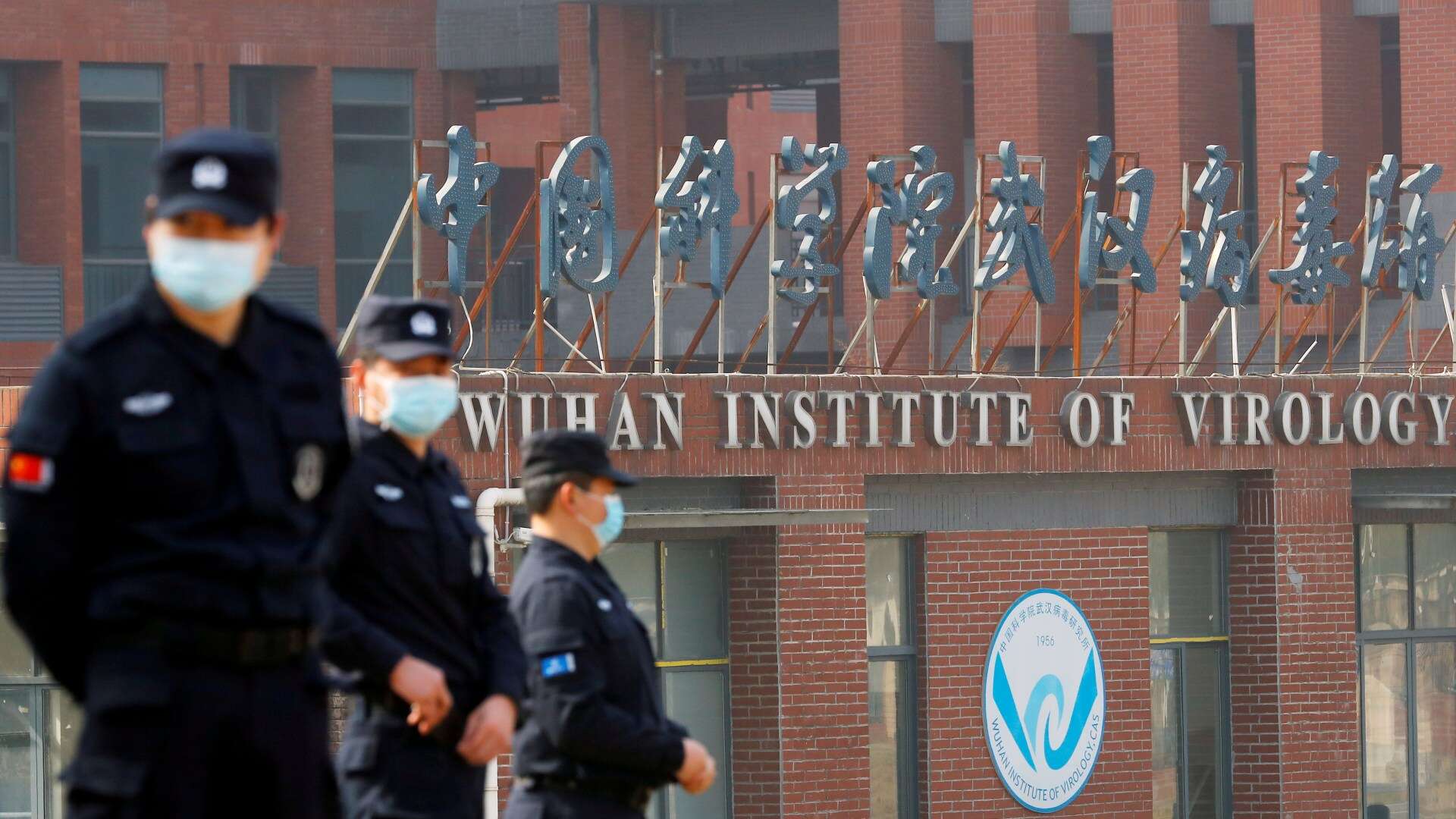 US govt backed Wuhan lab plan to collect 500k viruses... and KNEW it was dangerous