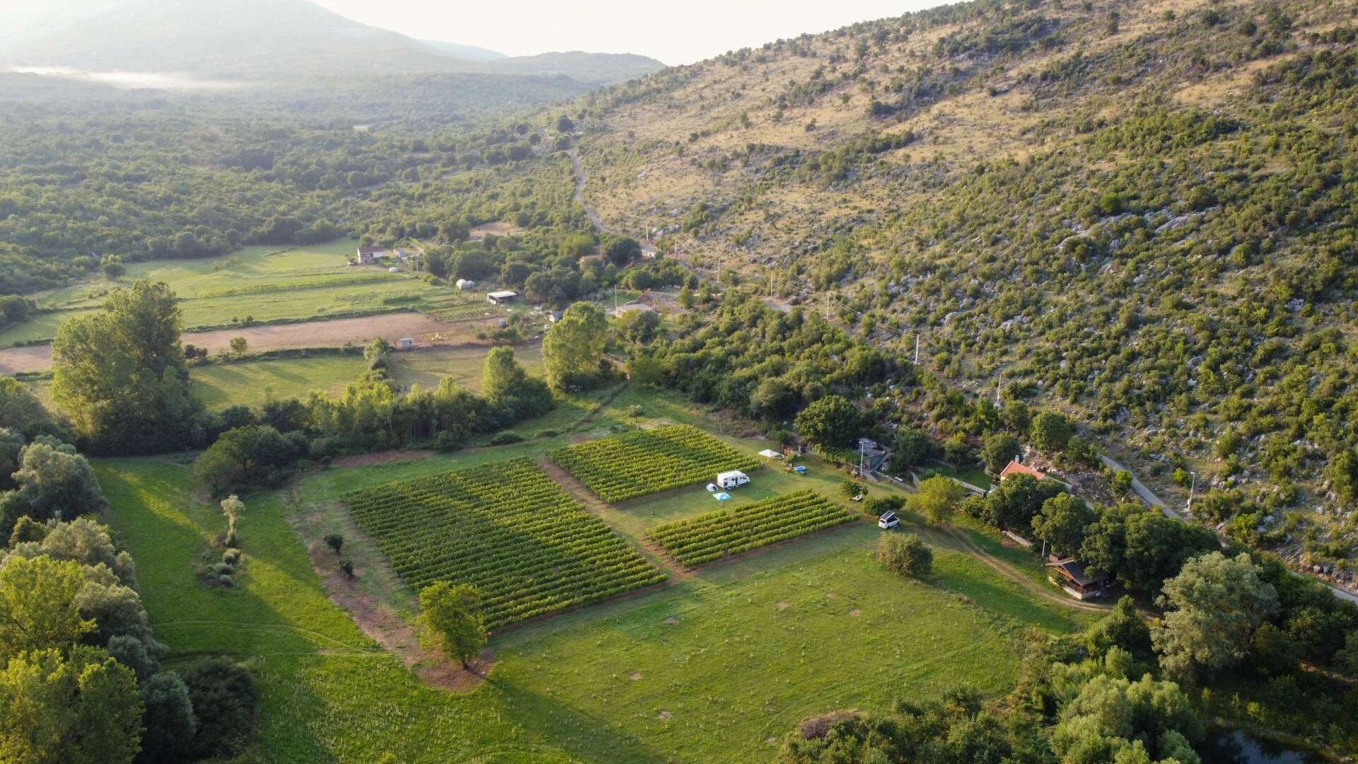 Beautiful campsite in the middle of a vineyard is near underrated European city