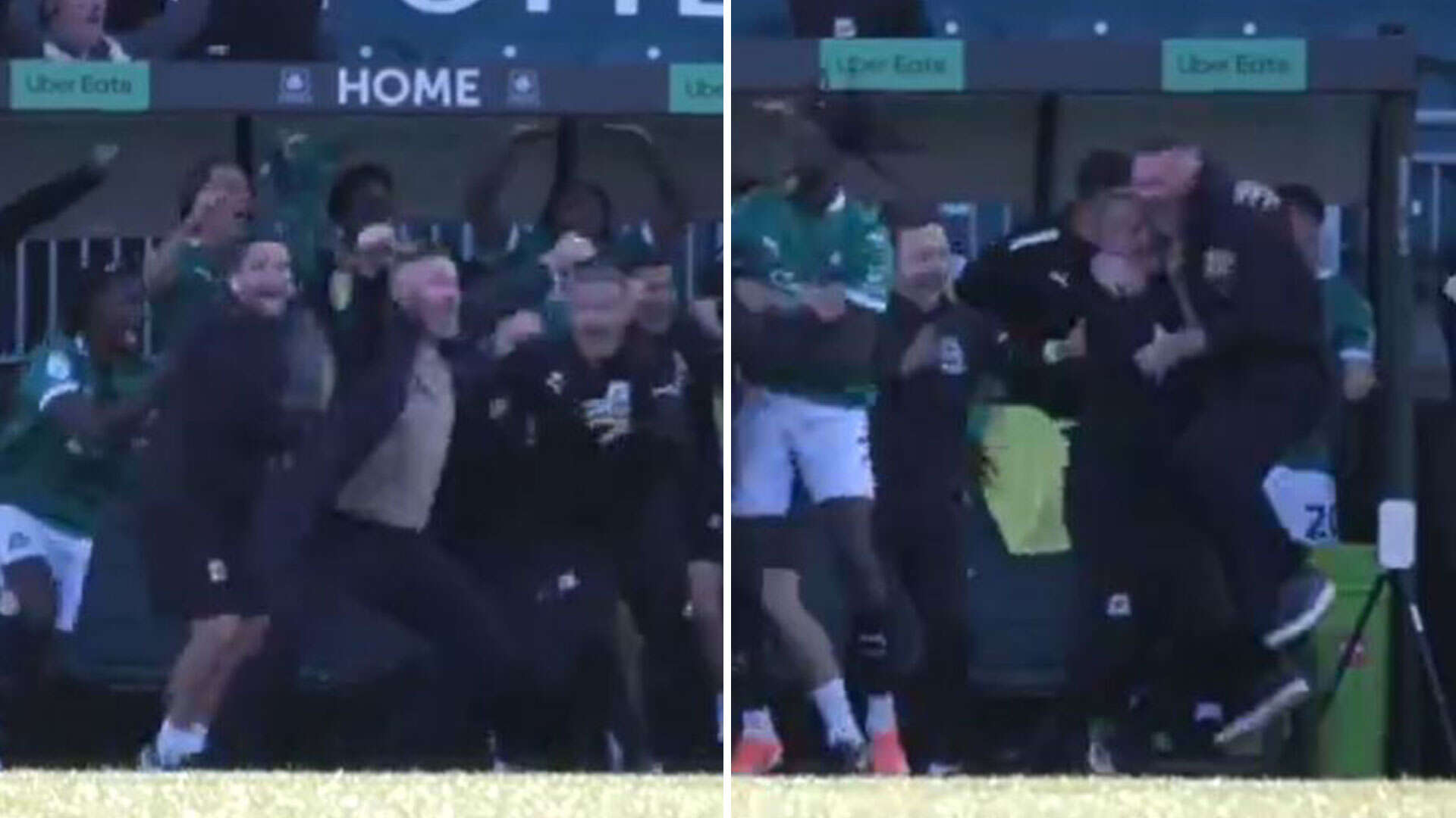 Watch Wayne Rooney absolutely go wild as his Plymouth score 93rd minute winner