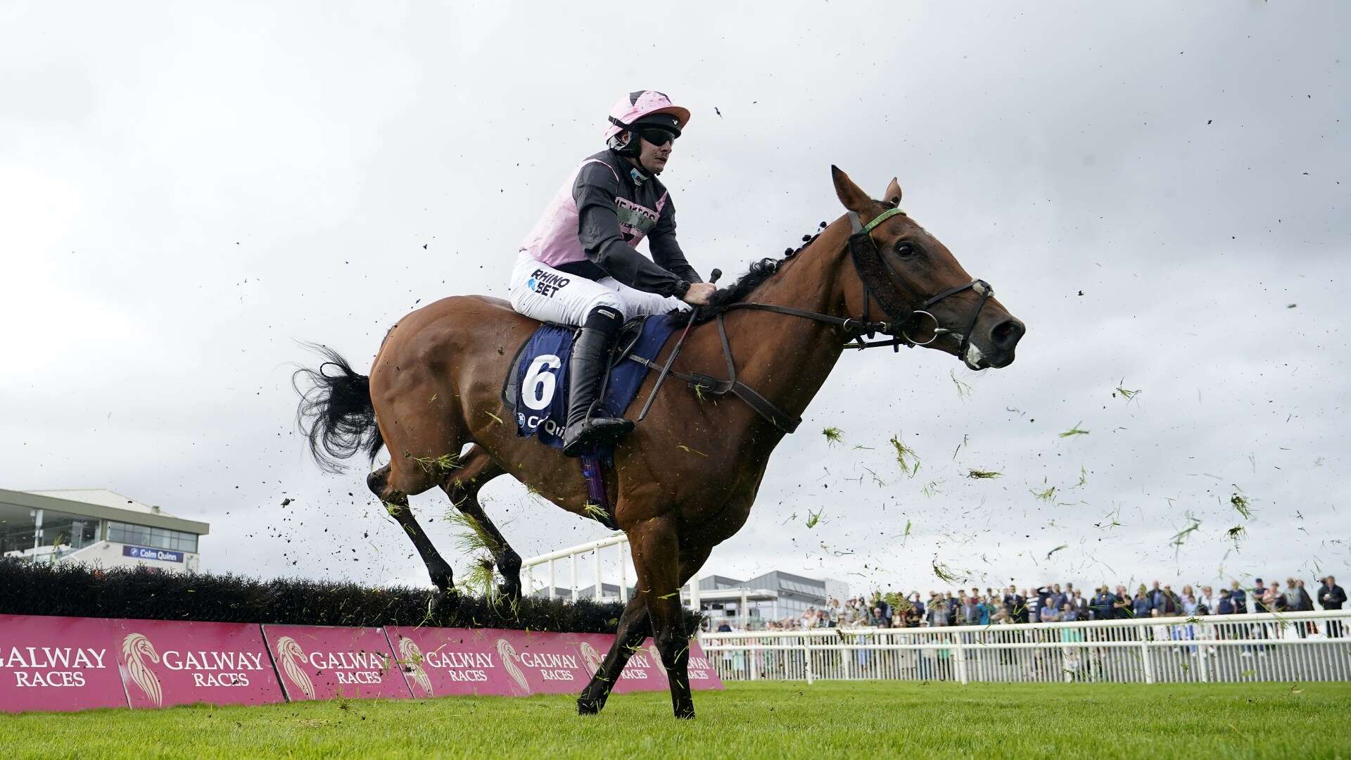 Cheltenham racing finally returns - and a British mare could steal the show