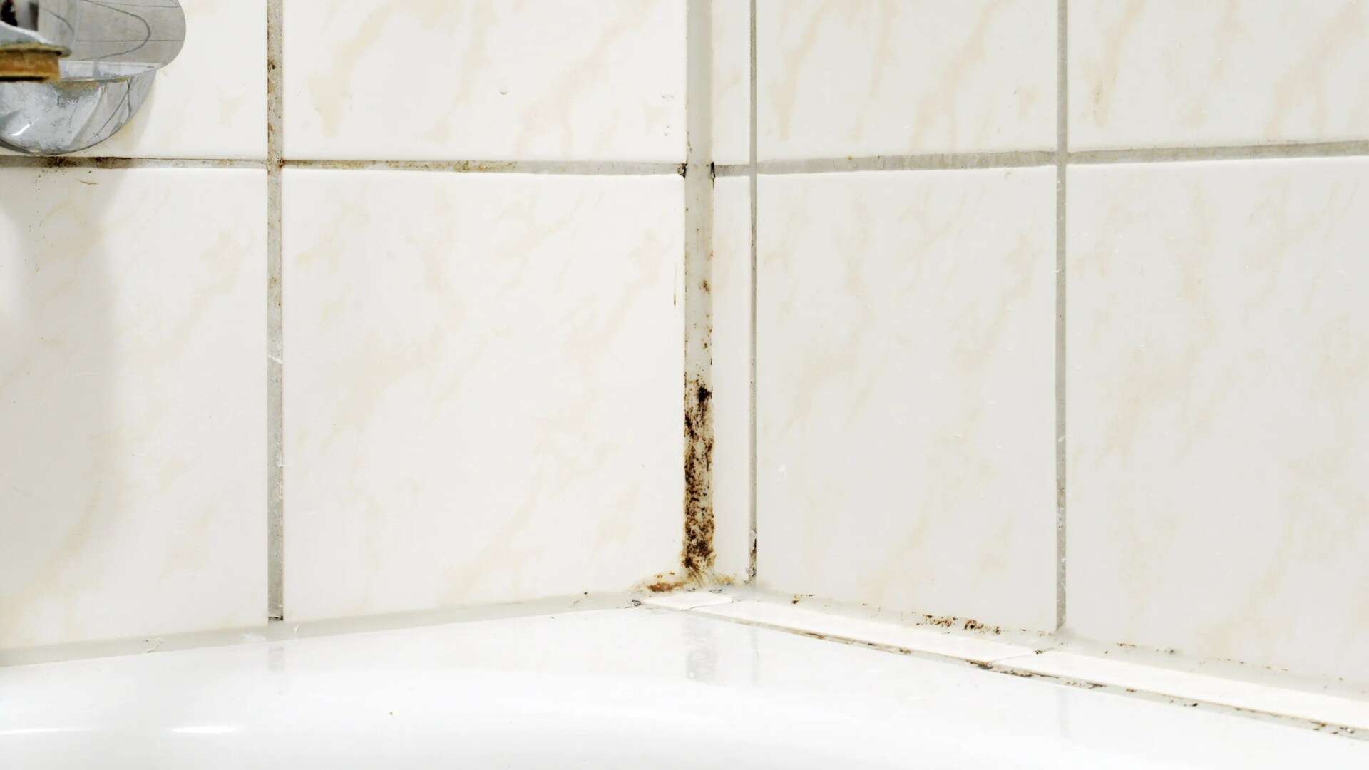 Cleaning pro shares natural product to stop bathroom mould ever coming back