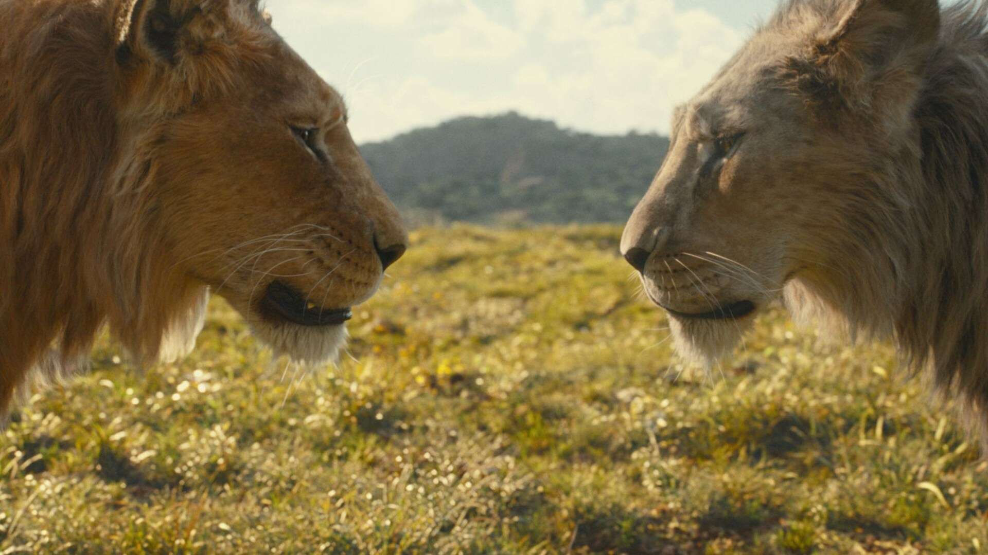 Disney can take pride in beautifully crafted prequel to The Lion King