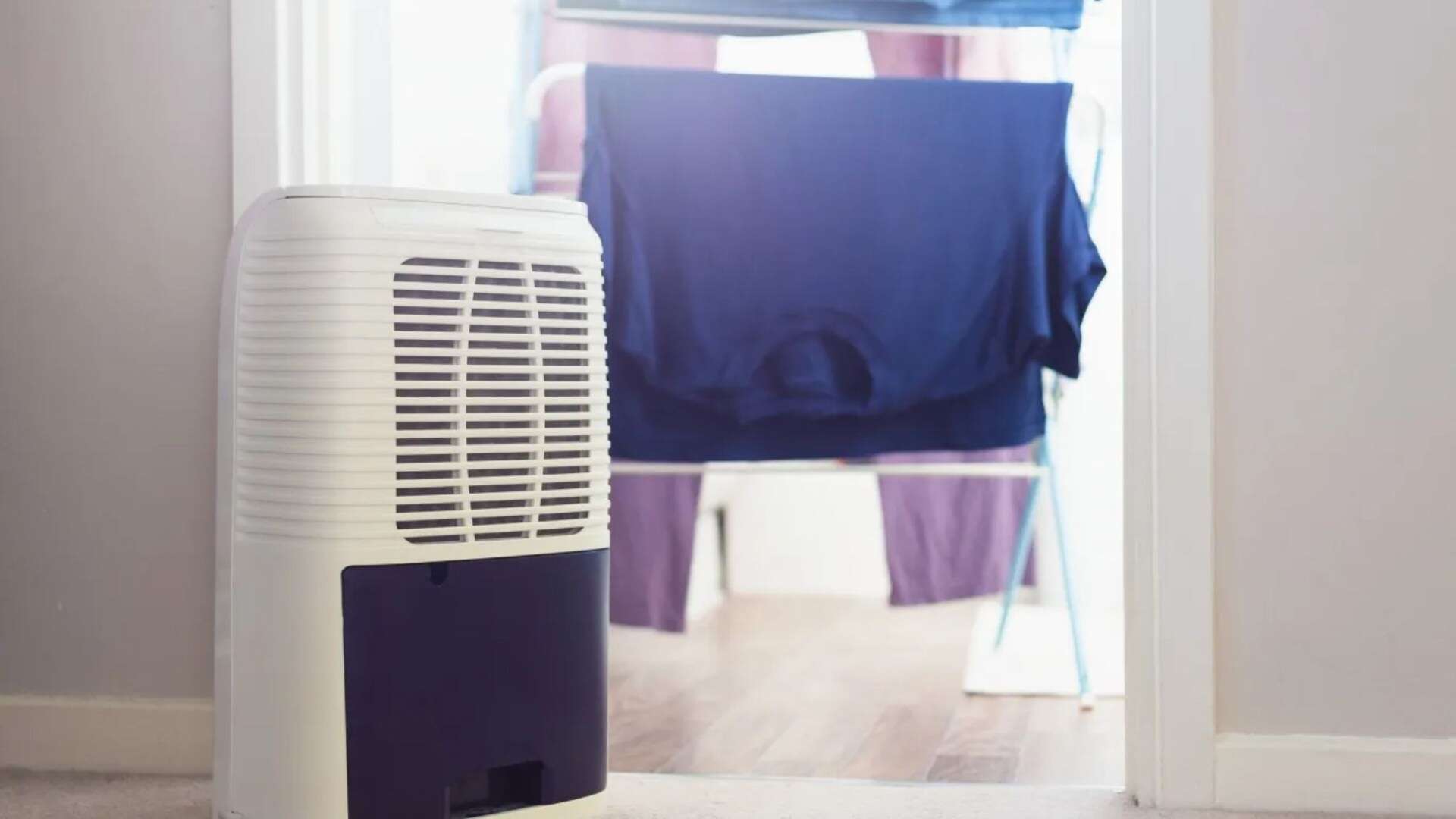 The dehumidifier mistakes making your home MORE damp - there's a fire risk too