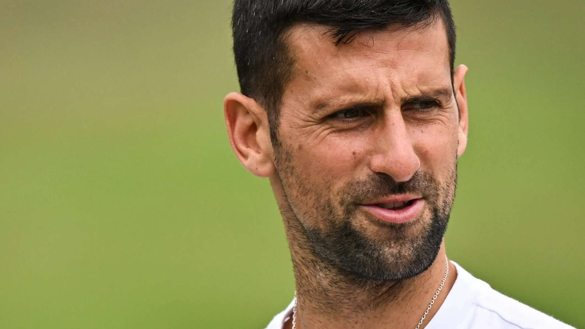 Djokovic's secret weapon gives Wimbledon fans advice on how to stop him