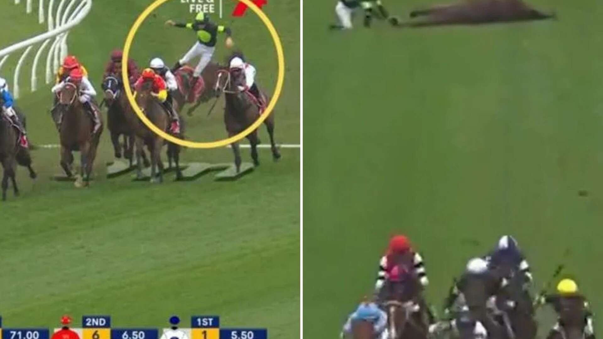 Watch 'crazy dangerous' moment jockey comforts horse after mid-race collapse