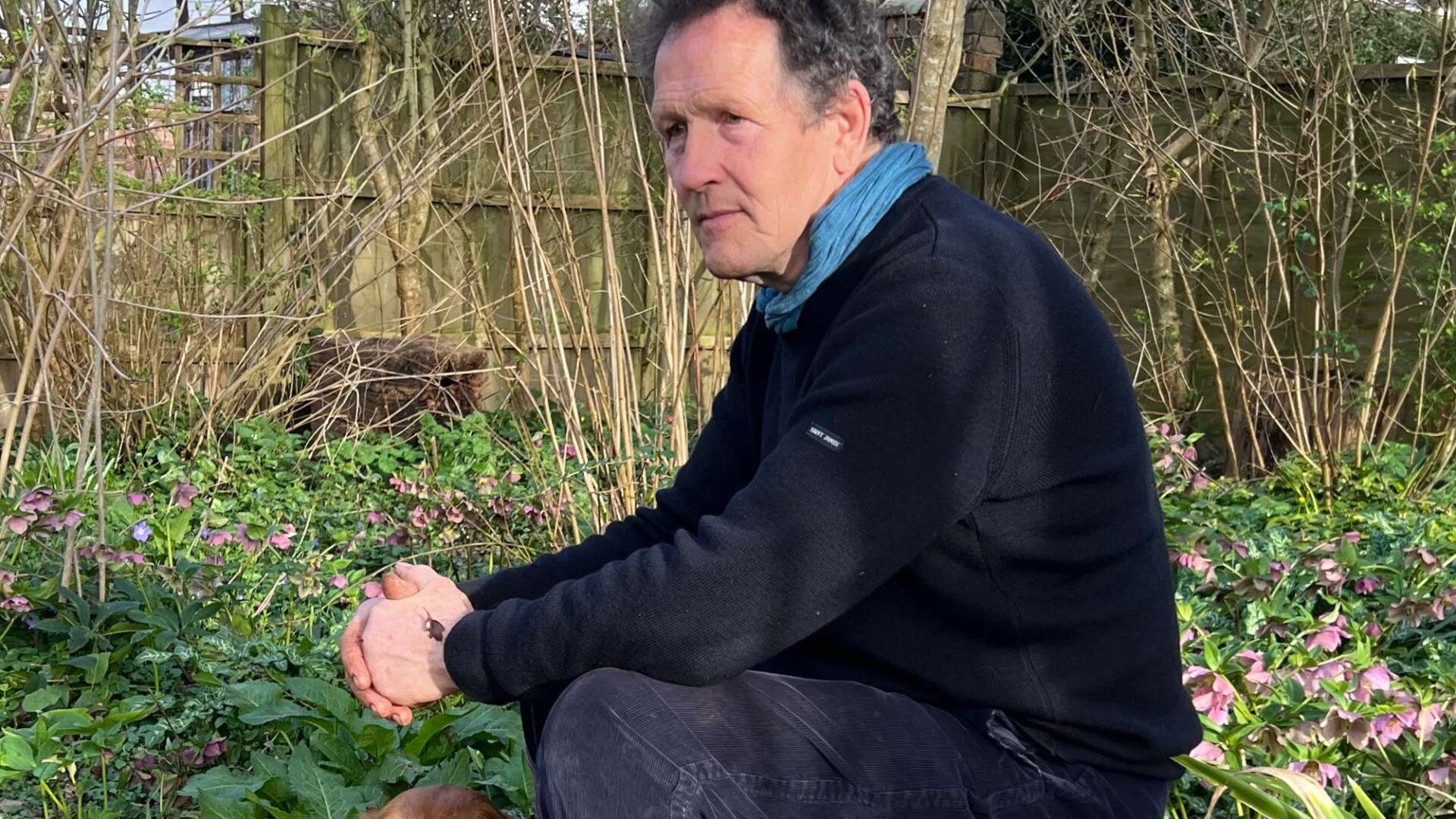 Gardeners' World's Monty Don fears 'decayed' knees could cut short TV career